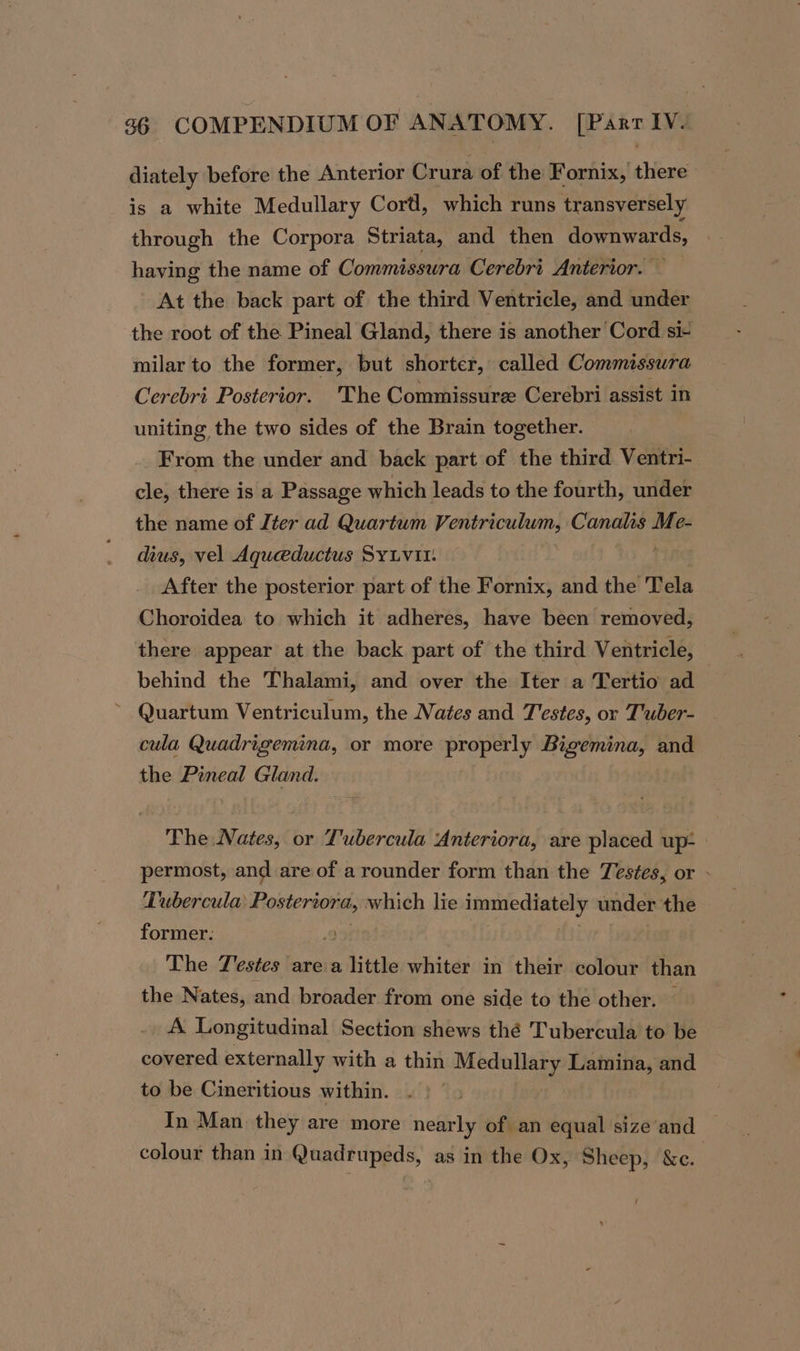 diately before the Anterior Crura of the Fornix, there is a white Medullary Cord, which runs transversely through the Corpora Striata, and then downwards, having the name of Commissura Cerebri Anterior. At the back part of the third Ventricle, and under the root of the Pineal Gland, there is another Cord si- milar to the former, but shorter, called Commissura Cerebri Posterior. 'The Commissure Cerebri assist in uniting the two sides of the Brain together. From the under and back part of the third Ventri- cle, there is a Passage which leads to the fourth, under the name of Iter ad Quartum Ventriculum, Canalis - Ge dius, vel Aqueeductus SYLVIt: After the posterior part of the Fornix, and the Tela Choroidea to which it adheres, have been removed, there appear at the back part of the third Ventricle, behind the Thalami, and over the Iter a Tertio ad &gt; Quartum Ventriculum, the Nates and Testes, or Tuber- cula Quadrigemina, or more properly Bigemina, and the Pineal Gland. The Nates, or Tubercula Anteriora, are placed up- permost, and are of a rounder form than the Testes, or - Tubercula’ Hostertona, which lie arise under the former. The Testes area rite whiter in their colour than the Nates, and broader from one side to the other. A Longitudinal Section shews thé Tubercula to be covered externally with a thin Medullary Lamina, and to be Cineritious within. In Man they are more nearly of an equal size‘and | colour than in Quadrupeds, as in the Ox, Sheep, &amp;c. ,