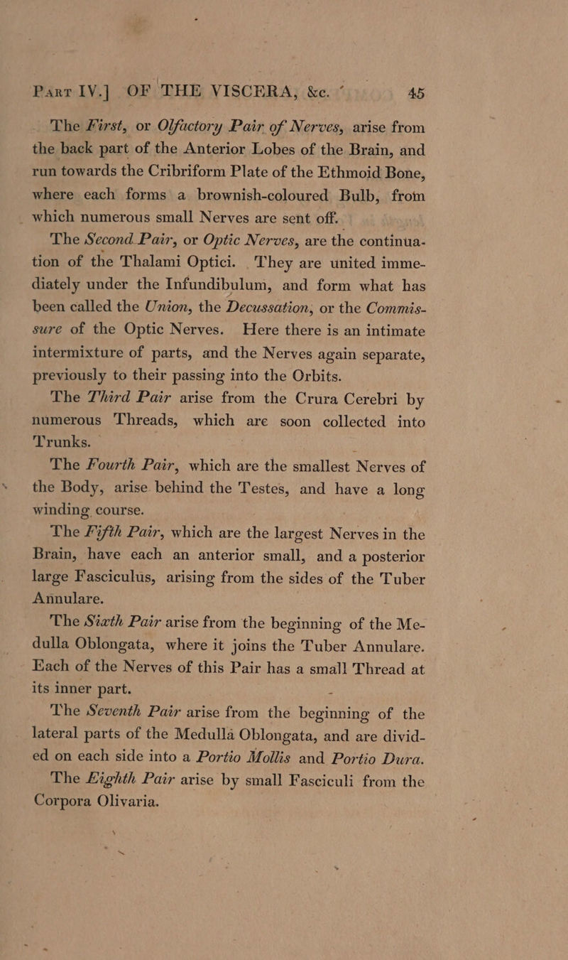 The First, or Olfactory Pair of Nerves, arise from the back part of the Anterior Lobes of the Brain, and run towards the Cribriform Plate of the Ethmoid Bone, where each forms a_ brownish-coloured Bulb, from which numerous small Nerves are sent off. The Second Pair, or Optic Nerves, are the continua- tion of the Thalami Optici. They are united imme- diately under the Infundibulum, and form what has been called the Union, the Decussation,; or the Commis- sure of the Optic Nerves. Here there is an intimate intermixture of parts, and the Nerves again separate, previously to their passing into the Orbits. The Third Pair arise from the Crura Cerebri by numerous ‘Threads, which are soon collected into Trunks. — ; A The Fourth Pair, which are the smallest Nerves of the Body, arise behind the Testes, and have a long winding course. The Fifth Pair, which are te largest Nerves in the Brain, have each an anterior small, and a posterior large Fasciculus, arising from the sides of the Tuber Annulare. The Sixth Pair arise from the beginning of the Me- dulla Oblongata, where it joins the Tuber Annulare. Hach of the Nerves of this Pair has a small Thread at its inner part. * The Seventh Pair arise from the beginning of the lateral parts of the Medulla Oblongata, and are divid- ed on each side into a Portio Mollis and Portio Dura. The Lighth Pair arise by small Fasciculi from the Corpora Olivaria. \ ~