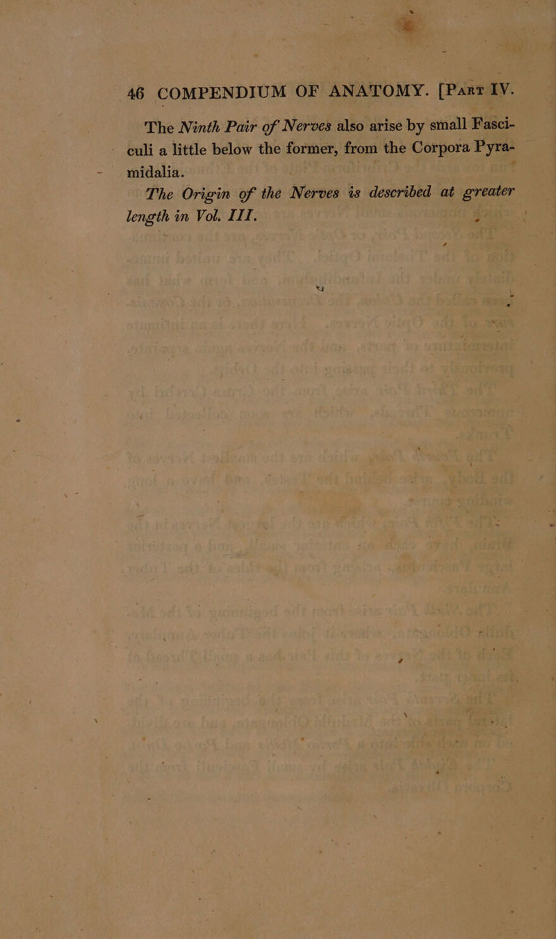 The Ninth Pair of Nerves also arise by small Fasci- - euli a little below the former, from the Corpora Pyra- midalia. The Origin of the Nerves is described at greater length in Vol. III. 3 |