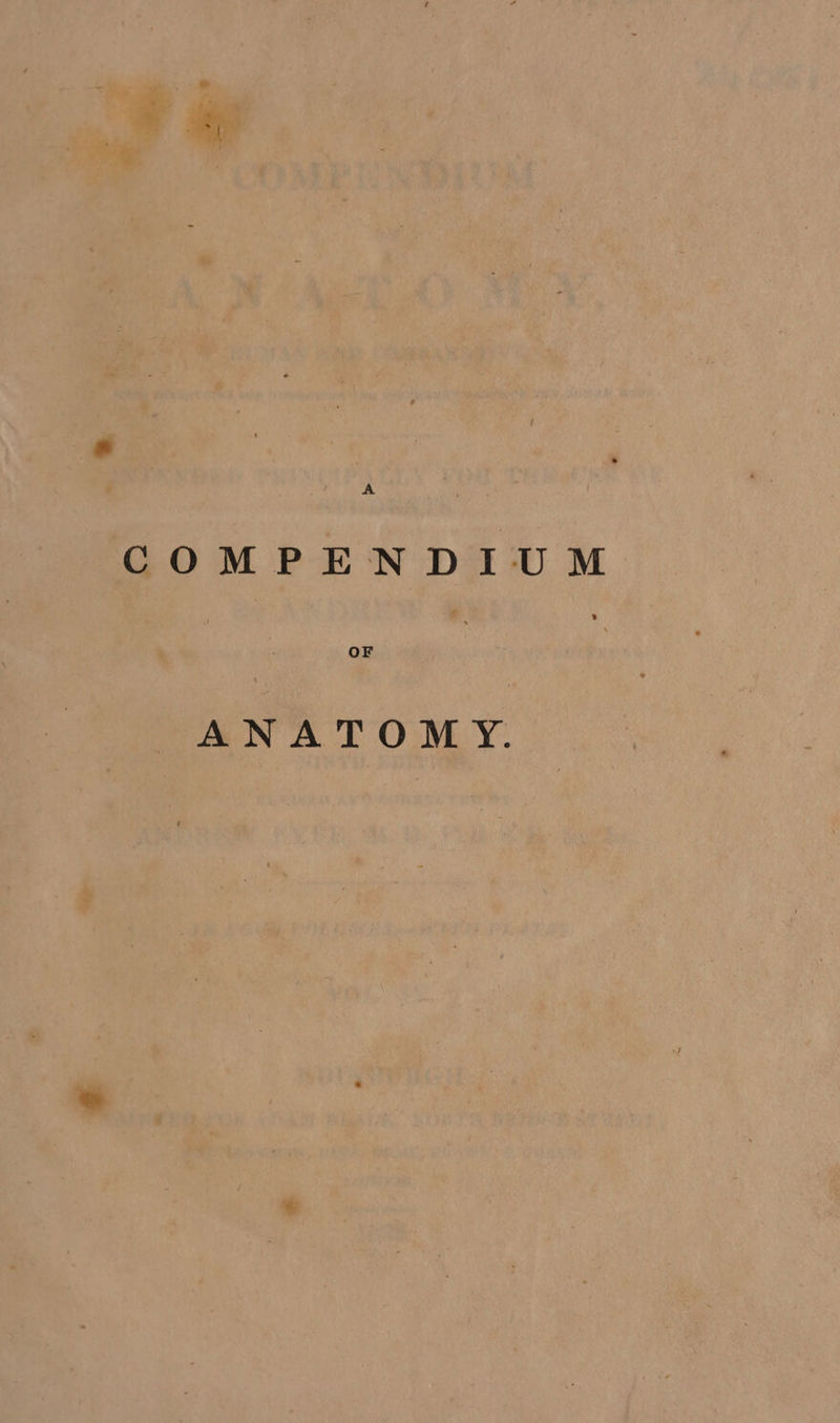 A COMPENDIUM OF ANATOMY.