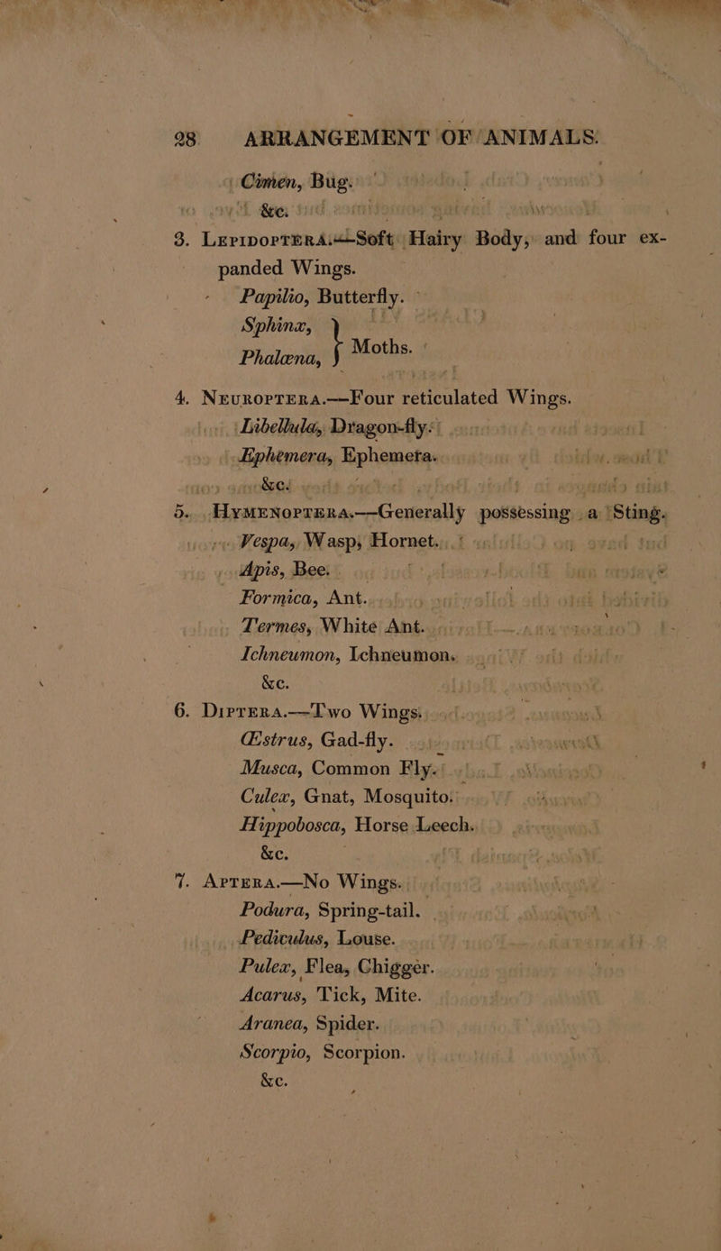 ) iy ab . 3. LeprporTERA, uLSoft: Hairy Body, and fbx ex- panded Wings. Papilio, Butterfly. Sphing, | Phalena, } Moths 4. NevrorrEra.——Four reticulated Wings. Libellula, Dragon-fly&lt; re sila daa. Rephamata thos, eae’ E 5. Ese Tinie possessing a + Sting - Vespa, Wasp, Hornet. 3% Apis, Bee. . Formica, Ant. fins Termes, White Ant... Ichneumon, Ichneumon. &amp;c. 6. DiprEra.—Iwo Wings: $2. ou @strus, Gad-fly. rail woleasesl Musca, Common Fly. : Culex, Gnat, Mosquito.’ Hippobosea, Horse Leech. &amp;e. 7. AptEra.—No Wings. Podura, Spring-tail. | | Pediculus, Louse. Pulex, Flea, Chigger. Acarus, Tick, Mite. Aranea, Spider. Scorpio, Scorpion.