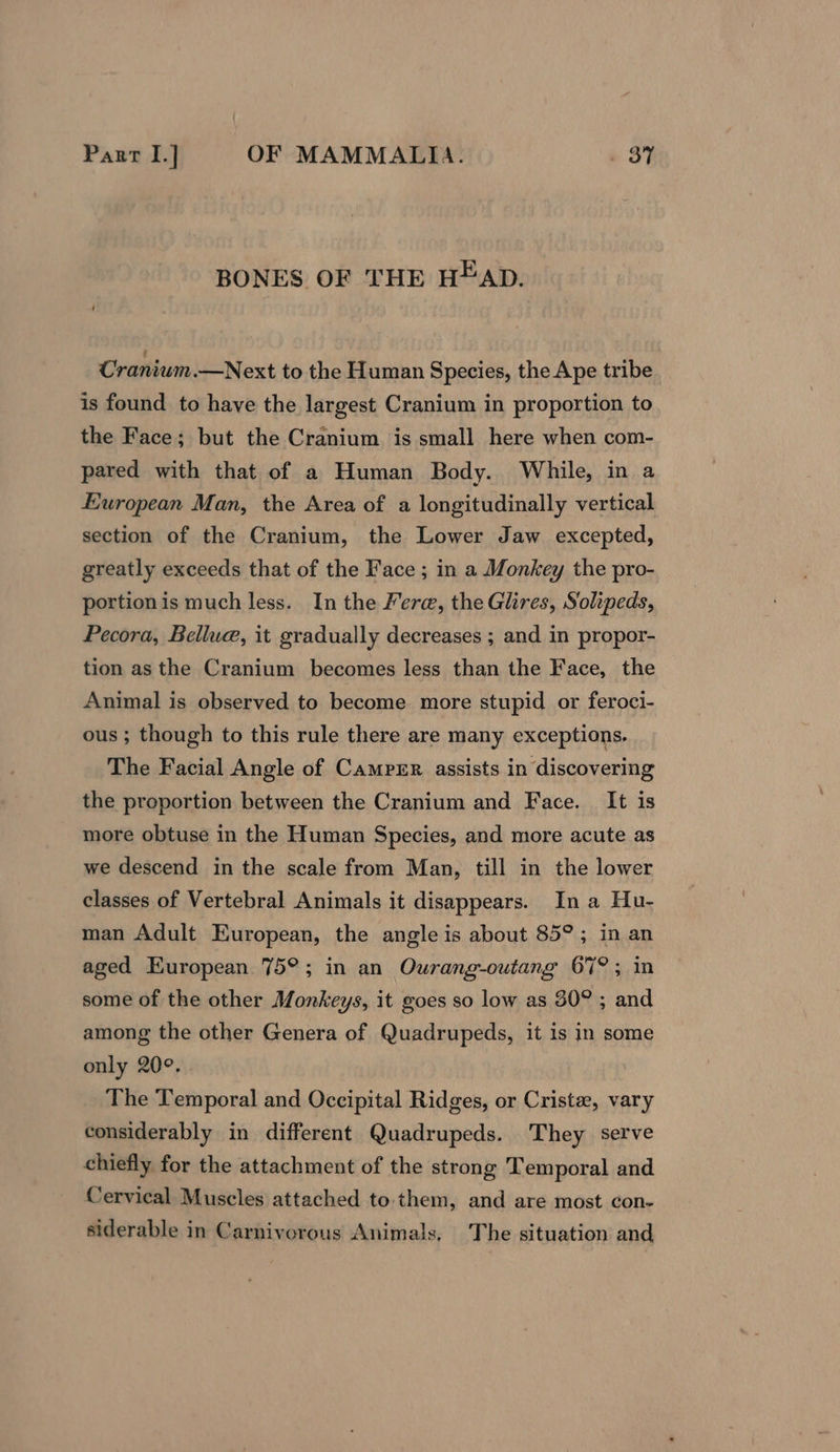BONES OF THE HEAD. Craniwm.—Next to the Human Species, the Ape tribe is found to have the largest Cranium in proportion to the Face; but the Cranium is small here when com- pared with that of a Human Body. While, in a European Man, the Area of a longitudinally vertical section of the Cranium, the Lower Jaw excepted, greatly exceeds that of the Face ; in a Monkey the pro- portionis much less. In the Fere, the Glires, Solipeds, Pecora, Bellue, it gradually decreases ; and in propor- tion as the Cranium becomes less than the Face, the Animal is observed to become more stupid or feroci- ous ; though to this rule there are many exceptions. The Facial Angle of Camper assists in discovering the proportion between the Cranium and Face. It is more obtuse in the Human Species, and more acute as we descend in the scale from Man, till in the lower classes of Vertebral Animals it disappears. In a Hu- man Adult European, the angle is about 85°; in an aged European 75°; in an Ourang-outang 67°; in some of the other Monkeys, it goes so low as 30° ; and among the other Genera of Quadrupeds, it is in some only 20°. The Temporal and Occipital Ridges, or Crista, vary considerably in different Quadrupeds. They serve chiefly for the attachment of the strong Temporal and Cervical Muscles attached to them, and are most con- siderable in Carnivorous Animals, The situation and