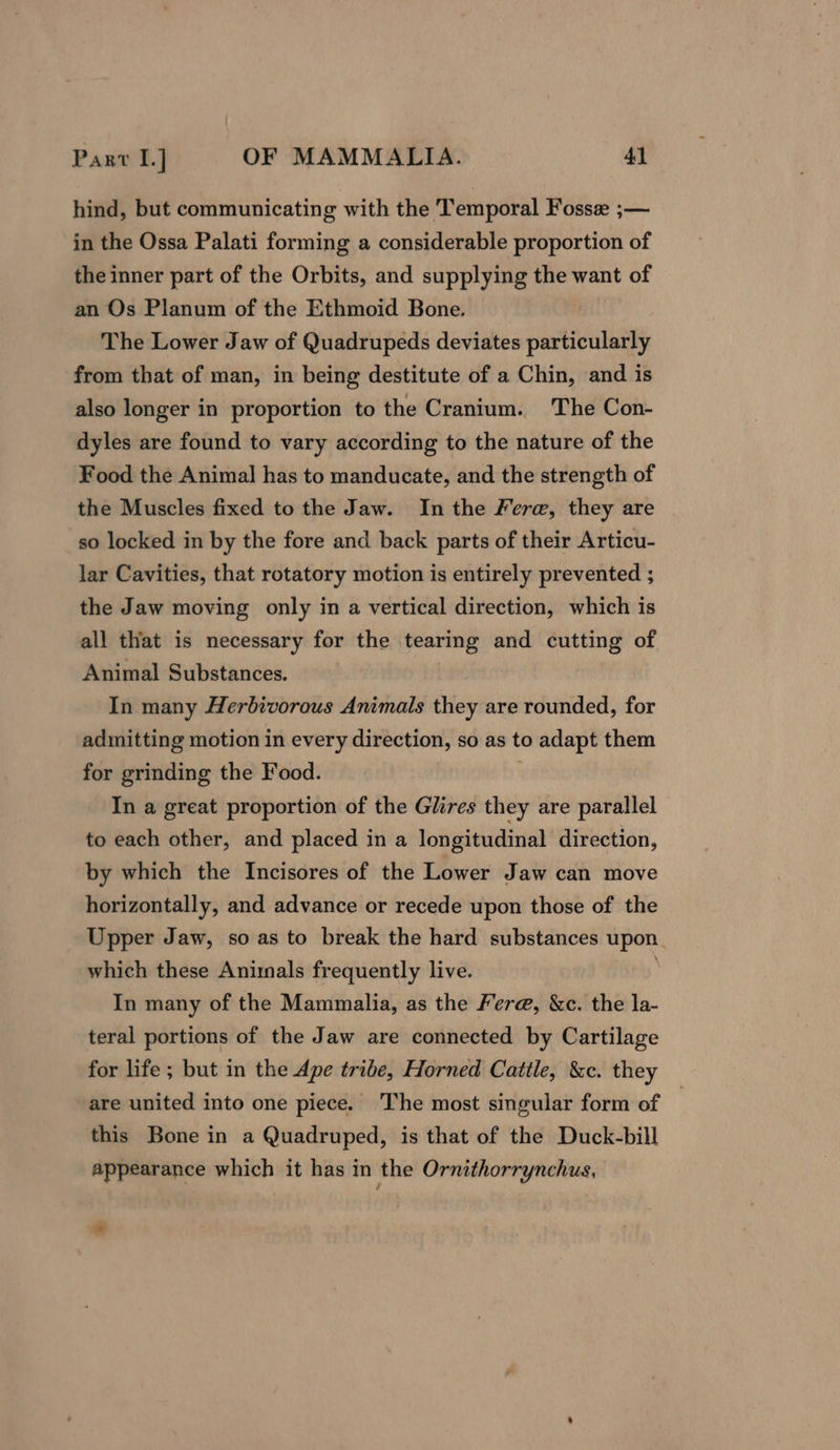 hind, but communicating with the Temporal Fosse ;— in the Ossa Palati forming a considerable proportion of the inner part of the Orbits, and supplying the want of an Os Planum of the Ethmoid Bone. The Lower Jaw of Quadrupeds deviates particularly from that of man, in being destitute of a Chin, and is also longer in proportion to the Cranium. The Con- dyles are found to vary according to the nature of the Food the Animal has to manducate, and the strength of the Muscles fixed to the Jaw. In the Fere, they are so locked in by the fore and back parts of their Articu- lar Cavities, that rotatory motion is entirely prevented ; the Jaw moving only in a vertical direction, which is all that is necessary for the tearing and cutting of Animal Substances. In many Herbivorous Animals they are rounded, for admitting motion in every direction, so as to adapt them for grinding the Food. ; In a great proportion of the Glires they are parallel to each other, and placed in a longitudinal direction, by which the Incisores of the Lower Jaw can move horizontally, and advance or recede upon those of the Upper Jaw, so as to break the hard substances upon which these Animals frequently live. In many of the Mammalia, as the Fere, &amp;c. the la- teral portions of the Jaw are connected by Cartilage for life ; but in the Ape tribe, Horned Cattle, &amp;c. they are united into one piece. The most singular form of this Bone in a Quadruped, is that of the Duck-bill appearance which it has in the Ornithorrynchus, od