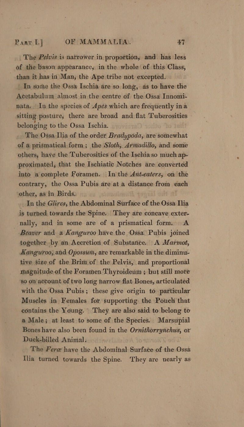 The Pelvis is narrower in. proportion, and has less of the Bason appearance, in the whole of this Class, than it has in Man, the Ape tribe not excepted. _ In some the Ossa Ischia are so long, as to have the Acetabulum almost in the centre of the Ossa Innomi- nata. In the species of Apes which are frequently ina sitting posture, there are broad and flat Tuberosities belonging to the Ossa Ischia. The Ossa Ilia of the order Brethypada, are somewhat of a prismatical form; the Sloth, Armadillo, and some others, have the Tuberosities of the Ischiaso much ap- proximated, that the Ischiatic Notches are converted into a complete foramen. In the Ant-eaters, on the contrary, the Ossa Pubis are at a distange from each other, as in Birds. In the Glires, the Abdominal Slirface of the Ossa Ilia is turned. towards the Spine. They are concave exter- nally, and in some are of a prismatical form. A - Beaver and a Kanguroo have the Ossa. Pubis joined together .by an Accretion of Substance. A Marmot, Kanguroo, and Opossum, are remarkable in the diminu- tive size of the Brim of the Pelvis, and proportional magnitude of the Foramen Thyroideum ; but still more so on account of two long narrow flat Bones, articulated | with the Ossa Pubis; these give origin to particular Muscles in Females for supporting the Pouch that contains the Young. They are also said to belong to a Male; at least to some of the Species. Marsupial Bones have also been found in the Ornithorrynchus, or Duck-billed Animal. The Fer@ have the Abdominal Surface of the Ossa Ilia turned towards the Spine. They are nearly as