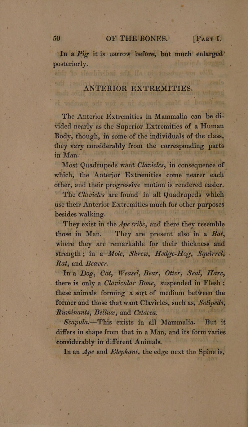 Ina ‘Pig itis narrow mney but much enlarged eh ie “ANTERIOR EXTREMITIES. The Anterior Extremities in Mammalia can be di- | vided nearly as the Superior Extremities of a Human Body, though, in some of the individuals of the class, they vary ap athgelt ae from the corresponding parts in Man. ~ Most Quadrupeds want Clavicles, in consequence ‘of ' which, the ‘Anterior Extremities come nearer each . other, and their progressive motion is rendered easier. The Clavicles are found in all Quadrupeds which use their Anterior Extremities much for yee * purposes besides walking. - They exist in the Ape tribe, and thétd they resemble those in Man. They are present also in a Bat, where they are remarkable for their thickness. and — strength ; in a Mole, psoas “Hedgie-Hog, Squirrel, x Rat, and Beaver. 3 “Ina Dog, Cat, Weasel, Bear, Otter, Seal, Hare, _ there is only a Clavicular Bone, suspended in Flesh ; these animals forming a sort of medium between the former and those that want Clavicles, such as, Biola? | Ruminants, Bellue, and Cetacea. ' Scapula.—This exists in all Mammalia. But it differs in shape from that in a Man, and its form varies considerably i in different Animals. &gt; In an Ape and Elephant, the edge next the Spine is,