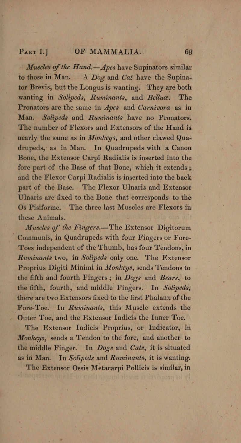 Muscles of the Hand.— Apes have Supinators similar to those in Man. A Dog and Cat have the Supina- tor Brevis, but the Longus is wanting. They are both wanting in Solipeds, Ruminants, and Bellue. The Pronators are the same in Apes and Carnivora as in Man. Solipeds and Ruminants have no Pronators. The number of Flexors and Extensors of the Hand is nearly the same as in Monkeys, and other clawed Qua- drupeds, as in Man. In Quadrupeds with a Canon Bone, the Extensor Carpi Radialis is inserted into the fore part of the Base of that Bone, which it extends ; and the Flexor Carpi Radialis is inserted into the back part of the Base. The Flexor Ulnaris and Extensor Ulnaris are fixed to the Bone that corresponds. to the Os Pisiforme. The three last Muscles are Flexors in these Animals. J Muscles of the Fingers.—The Extensor Digitorum - Communis, in Quadrupeds with four Fingers or Fore- Toes independent of the Thumb, has four Tendons, in Ruminants two, in Solipeds only one. The Extensor Proprius Digiti Minimi in Monkeys, sends Tendons to the fifth and fourth Fingers; in Dogs and Bears, to the fifth, fourth, and middle Fingers. In Solipeds, there are two Extensors fixed to the first Phalanx of the Fore-Toe. In Ruminants, this Muscle extends the _ Outer Toe, and the Extensor Indicis the Inner Toe. The Extensor Indicis Proprius, or Indicator, in Monkeys, sends a Tendon to the fore, and another to the middle Finger. In Dogs and Cats, it is situated asin Man. In Solipeds and Ruminants, it is wanting. The Extensor Ossis Metacarpi Pollicis is similar, in