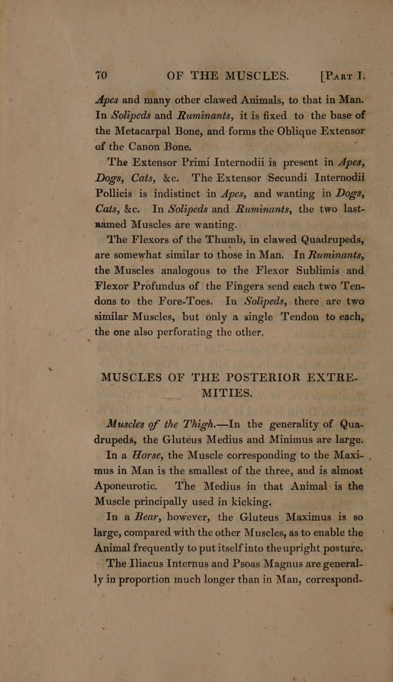 Apes and many other clawed Animals, to that in Man. In Solipeds and Ruminants, it is fixed to the base of the Metacarpal Bone, and forms the Oblique Hissetioam of the Canon Bone, The Extensor Primi Internodii is present in Apes, Dogs, Cats, &amp;c. The Extensor Secundi Internodii Pollicis is indistinct in Apes, and wanting in Dogs, Cats, &amp;c. In Solipeds and Ruminants, the two last- named Muscles are wanting. The Flexors of the Thumb, in clawed Quadrupeds, | are somewhat similar to those i in Man. In Ruminants, the Muscles analogous to the Flexor Sublimis and Flexor Profundus of the Fingers send each two Ten- dons to the Fore-Toes. In Solipeds,.there are two similar Muscles, but only a single Tendon to each, the one also perforating the other, | MUSCLES OF THE POSTERIOR EXTRE- MITIES. Muscles of the Thigh.—In the generality of Qua- drupeds, the Gluteus Medius and Minimus are large. In a Gorse, the Muscle corresponding to the Maxi- , mus in Man is the smallest of the three, and is almost Aponeurotic. The Medius in that Animal is the Muscle principally used in kicking. In a Bear, however, the Gluteus Maximus is so large, compared with the other Muscles, as to enable the Animal frequently to put itself into the upright posture. ~The Iiacus Internus and Psoas Magnus are general- ly in proportion much longer than in Man, correspond.