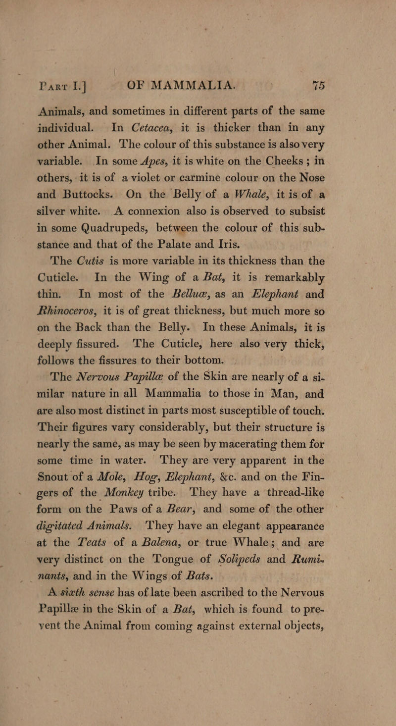 Animals, and sometimes in different parts of the same individual. In Cetacea, it is thicker than in any other Animal. The colour of this substance is also very variable. In some Apes, it is white on the Cheeks ; in others, it is of a violet or carmine colour on the Nose and Buttocks. On the Belly of a Whale, itis of a silver white. A connexion also is observed to subsist in some Quadrupeds, between the colour of this sub- stance and that of the Palate and Ivis. The Cutis is more variable in its thickness than the Cuticle. In the Wing of a Bat, it is remarkably thin. In most of the Belluw, as an Elephant and Rhinoceros, it is of great thickness, but much more so on the Back than the Belly. In these Animals, it is deeply fissured. The Cuticle, here also very thick, follows the fissures to their bottom. The Nervous Papille of the Skin are nearly of a si- milar nature in all Mammalia to those in Man, and are also most distinct in parts most susceptible of touch. Their figures vary considerably, but their structure is nearly the same, as may be seen by macerating them for some time in water. They are very apparent in the Snout of a Mole, Hog, Elephant, &amp;c. and on the Fin- gers of the Monkey tribe. They have a thread-like form on the Paws of a Bear, and some of the other digitated Animals. They have an elegant appearance at the Yeats of a Balena, or true Whale; and are very distinct on the Tongue of Solipeds and Rumi- A sixth sense has of late been ascribed to the Nervous Papillz in the Skin of a Bat, which is found to pre- yent the Animal from coming against external objects,