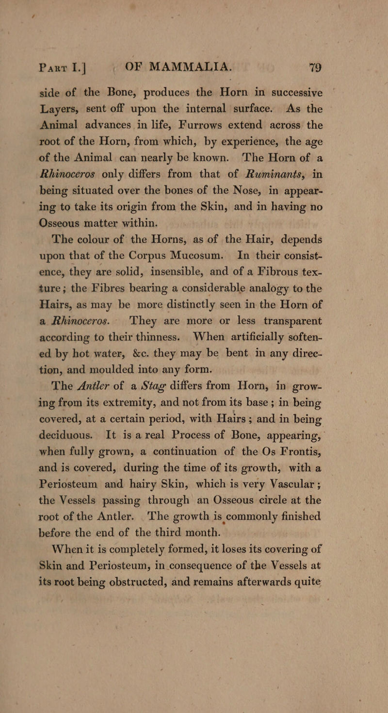 side of the Bone, produces the Horn in successive Layers, sent off upon the internal surface. As the © Animal advances in life, Furrows extend across the root of the Horn, from which, by experience, the age of the Animal can nearly be known. The Horn of a Rhinoceros only differs from that of Rwminants, in being situated over the bones of the Nose, in appear- ing to take its origin from the Skin, and in having no Osseous matter within. The colour of the Horns, as of the Hair, depends upon that of the Corpus Mucosum. In their consist- ence, they are solid, insensible, and of a Fibrous tex- ture; the Fibres bearing a considerable analogy to the Hairs, as may be more distinctly seen in the Horn of a Rhinoceros. They are more or less transparent according to their thmness. When artificially soften- ed by hot water, &amp;c. they may be bent in any direc- tion, and moulded into any form. The Antler of a Stag differs from Horn, in grow- ing from its extremity, and not from its base ; in being covered, at a certain period, with Hairs ; and in being deciduous. It is areal Process of Bone, appearing, when fully grown, a continuation of the Os Frontis, and is covered, during the time of its growth, with a Periosteum and hairy Skin, which is very Vascular ; the Vessels passing through an Osseous circle at the root of the Antler. The growth is commonly finished before the end of the third month. When it is completely formed, it loses its covering of Skin and Periosteum, in consequence of the Vessels at its root being obstructed, and remains afterwards quite