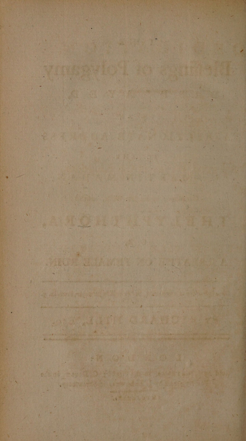 i Sute Gn ie al gia’ seelcoo