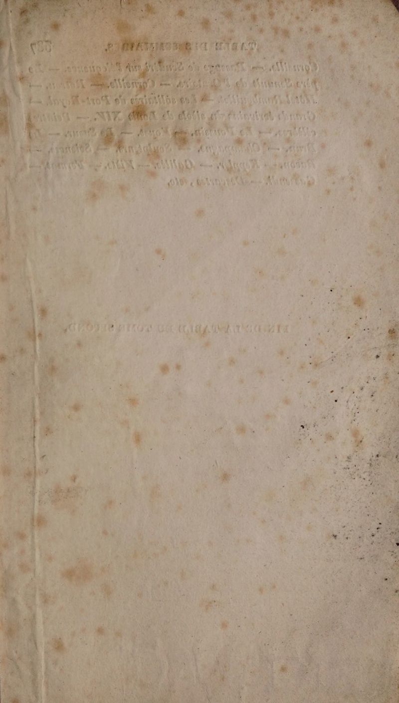 A ET FAT Pt AE AE CE “ 4469 L'ANLL Tete ee UE « ten F Le J 5 * + 44 A ; w. + se  4} FN MAN ANT + « æ