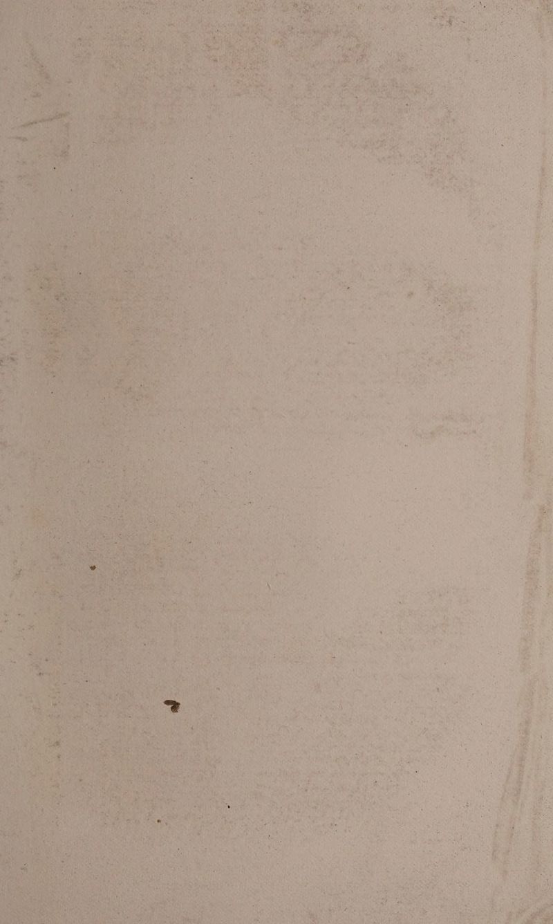 el: +1 2 NUE dE: dé