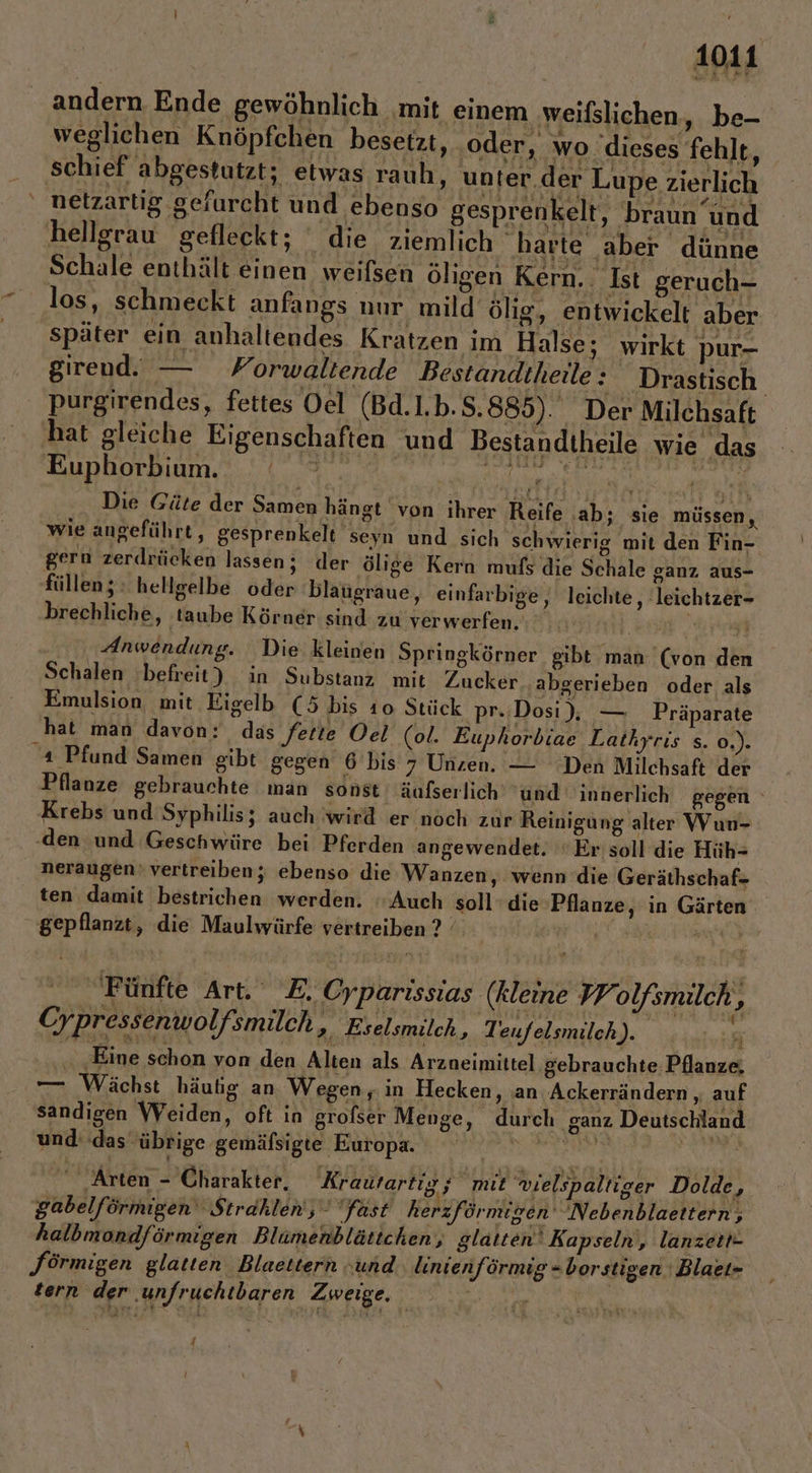 andern Ende gewöhnlich ‚mit einem weifslichen, be- weglichen Knöpfchen besetzt, oder, wo dieses fehlt, . ‚schief abgestutzt; etwas rauh, unter.der Lupe zierlich ' netzartig gefarcht und ebenso gesprenkelt, braun und hellgrau gefleckt; die ziemlich harte aber dünne Schale enthält einen weifsen öligen Kern. Ist geruch- los, schmeckt anfangs nur mild ölig, entwickelt aber später ein anhaltendes Kratzen im Halse; wirkt pur- girend. — Forwaltende Bestandtheille: Drastisch purgirendes, fettes Oel (Bd.1.b.$.885). Der Milchsaft hat gleiche Eigenschaften und Bestandtheile wie das Euphorbium. ° N Ri Die Gäte der Samen hängt von ihrer Reife ‚ab; sie müssen, wie angeführt, gesprenkelt seyn und sich schwierig mit den Fin- gern zerdrücken lassen; der ölige Kern mufs die Schale ganz aus- füllen; hellgelbe oder blaugraue, einfarbige, leichte , leichtzer- brechliche, taube Körner sind zu verwerfen. erg Anwendung. Die kleinen Sptingkörner gibt man (von den Schalen befreit) in Substanz mit Zucker ‚abgerieben oder als Emulsion mit Eigelb (5 bis 10 Stück pr.:Dosi ); ‚— Präparate hat man davon: das fette Oel (ol. Euphorbiae Lathyris s. o.). ı Pfund Samen gibt gegen 6 bis 7 Unzen. — Den Milchsaft der Pflanze gebrauchte man sonst äufserlich und innerlich gegen Krebs und Syphilis; auch wird er ‚noch zur Reinigung alter Wun- ‚den und Geschwüre bei Pferden angewendet. Er soll die Hüh- neraugen: vertreiben; ebenso die Wanzen, wenn die Geräthschaf- ten damit bestrichen werden. ‘Auch soll‘ die Pflanze, in Gärten gepflanzt, die Maulwürfe vertreiben ? =. Fünfte Art. E. Cyparıssias (kleine Volfsmilch, | | ie Cypressenwolf: smilch ey Eselsmilch, Teufelsmilch N RR X ‚Eine schon von den Alten als Arzneimittel gebrauchte Pflanze — Wächst häultig an Wegen, in Hecken, an Ackerrändern , auf sandigen WVeiden, oft in grofser Menge, durch ganz Deutschland und: das übrige gemäfsigte Europa. EN hrs | RN Arten - Charakter, Krautartig x mit wielspaltiger Dolde, gabelförmigen Strahlen, fast herzförmigen' Nebenblaettern, halbmondförmigen Blümenblättchen, glatten‘ Kapseln, lanzett- Förmigen glatten Blaettern “und linienförmig = borstigen | Blaet- tern der ‚unfruchtbaren Zweige, SER {