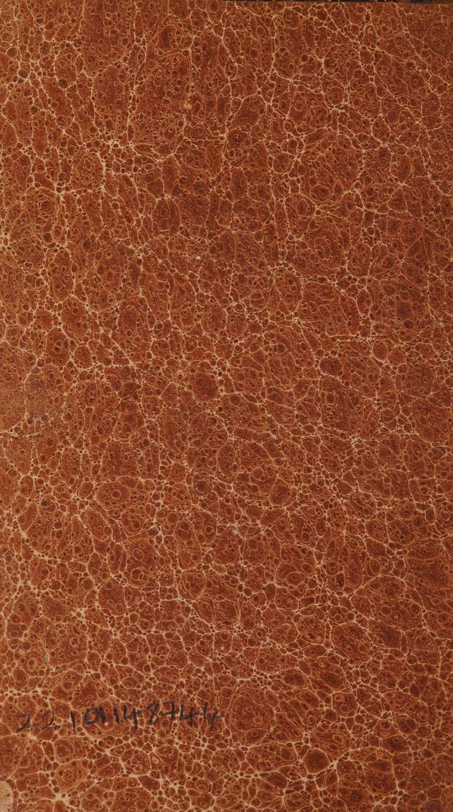 digitised image 2