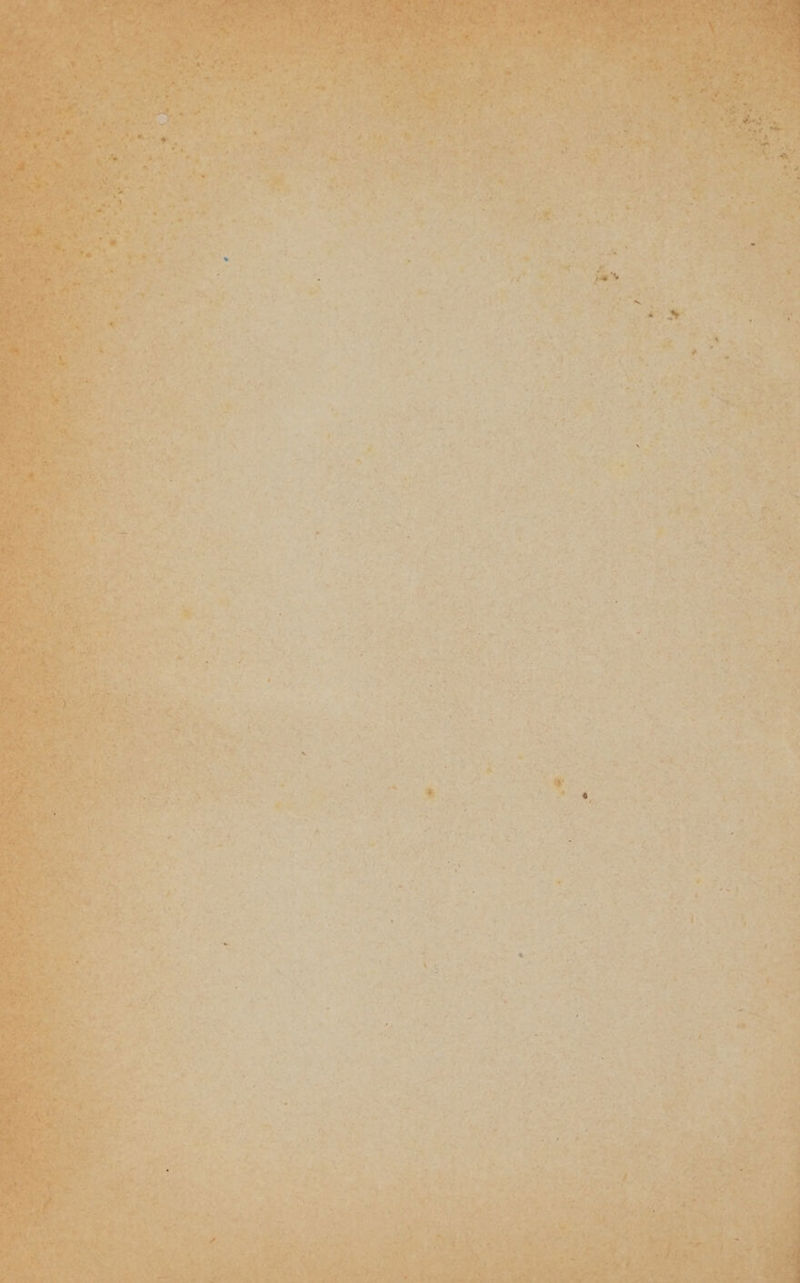 ati ON TA 1) 7 Aa + Fe