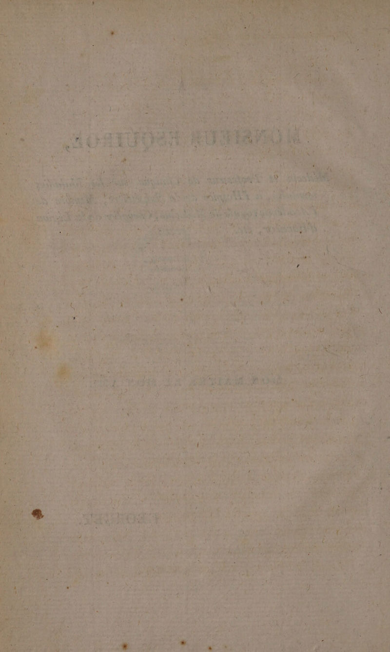 en SR CR RACE QORTES TEEN a EU ET ‘MR 0 art LA er LA: 1 ti es LOUE 7 LARMES