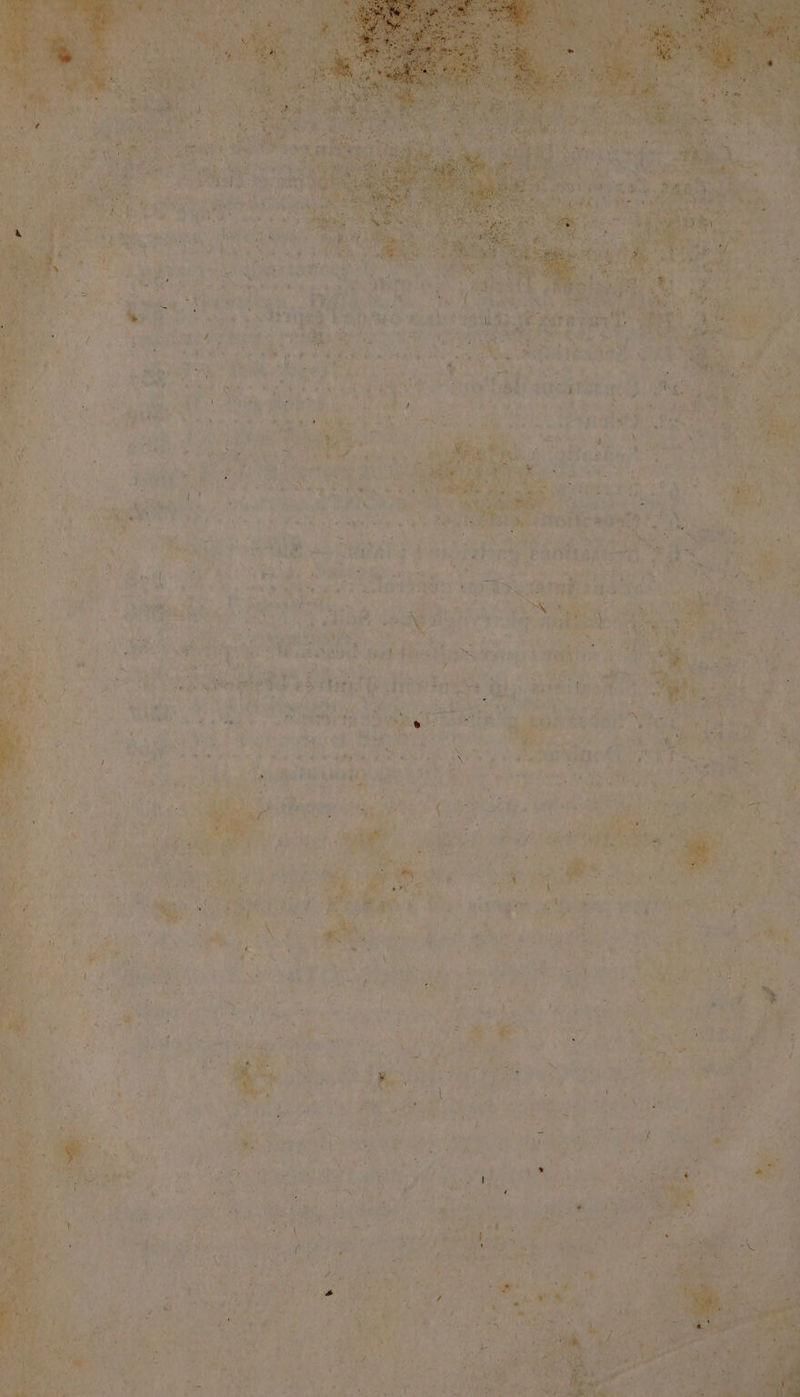 Pat AN È 4 v« mil La. 7e A: EN pal Fe F % iv Pre AR TS LUN NT bn