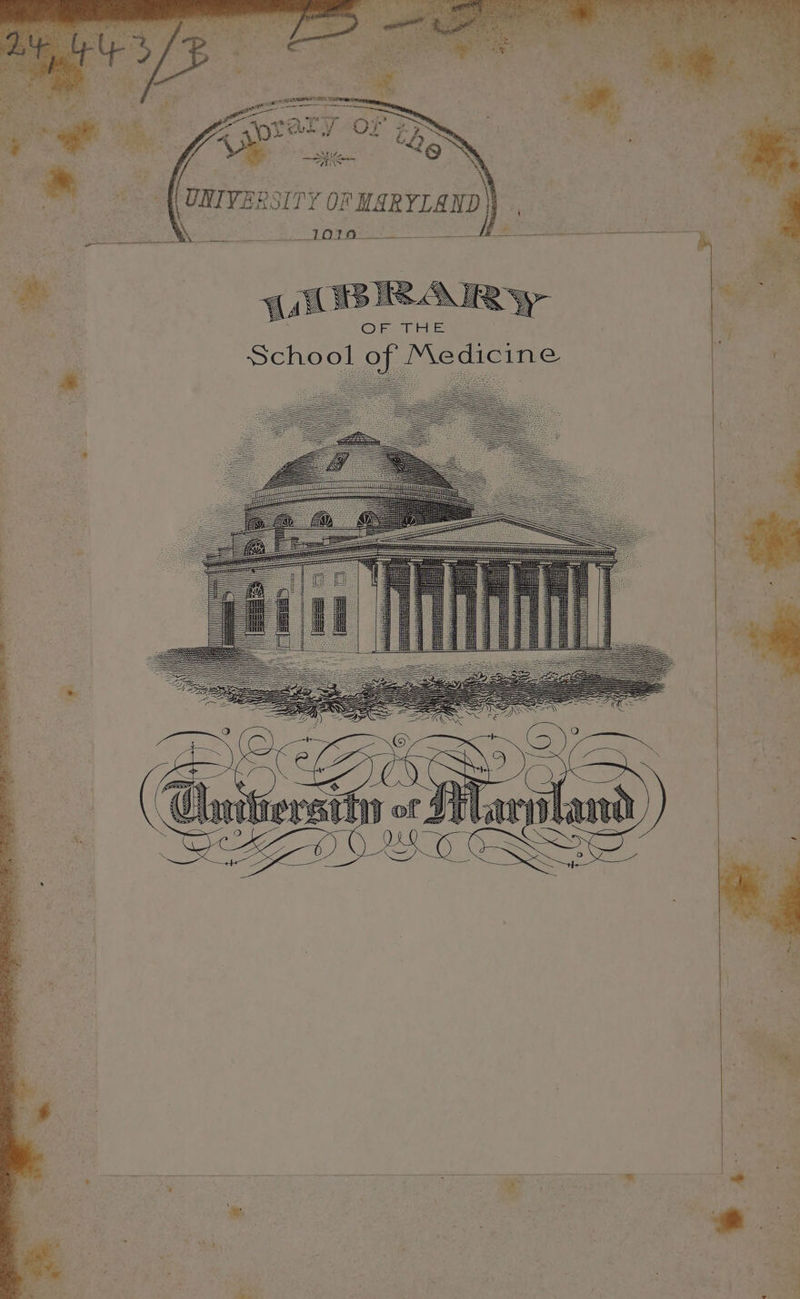 HARYLAND es i 0 1010 ; i ieee Ae Z| Sent } rm i| ca oH tl im 4, et GP rN 4 eee am te + A. ONT VE: 1cine School of Medi Ny N \ X & Sy $) Ty”