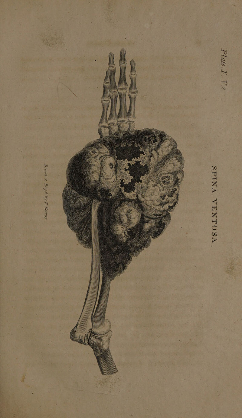 . A ALLADPIV ‘A AQ a bug % wauncy “VSOLNGA VNIdS eA oT M01