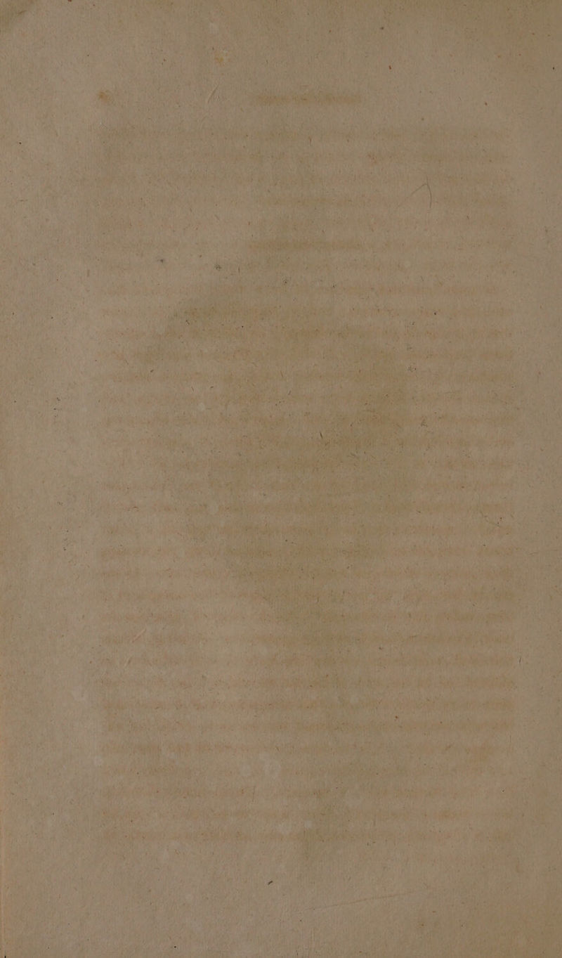 t An { ent 7 BAUER ERR et 2 2 vey a as * +7 sik Day ‘af ip “ Nii! foe | ee