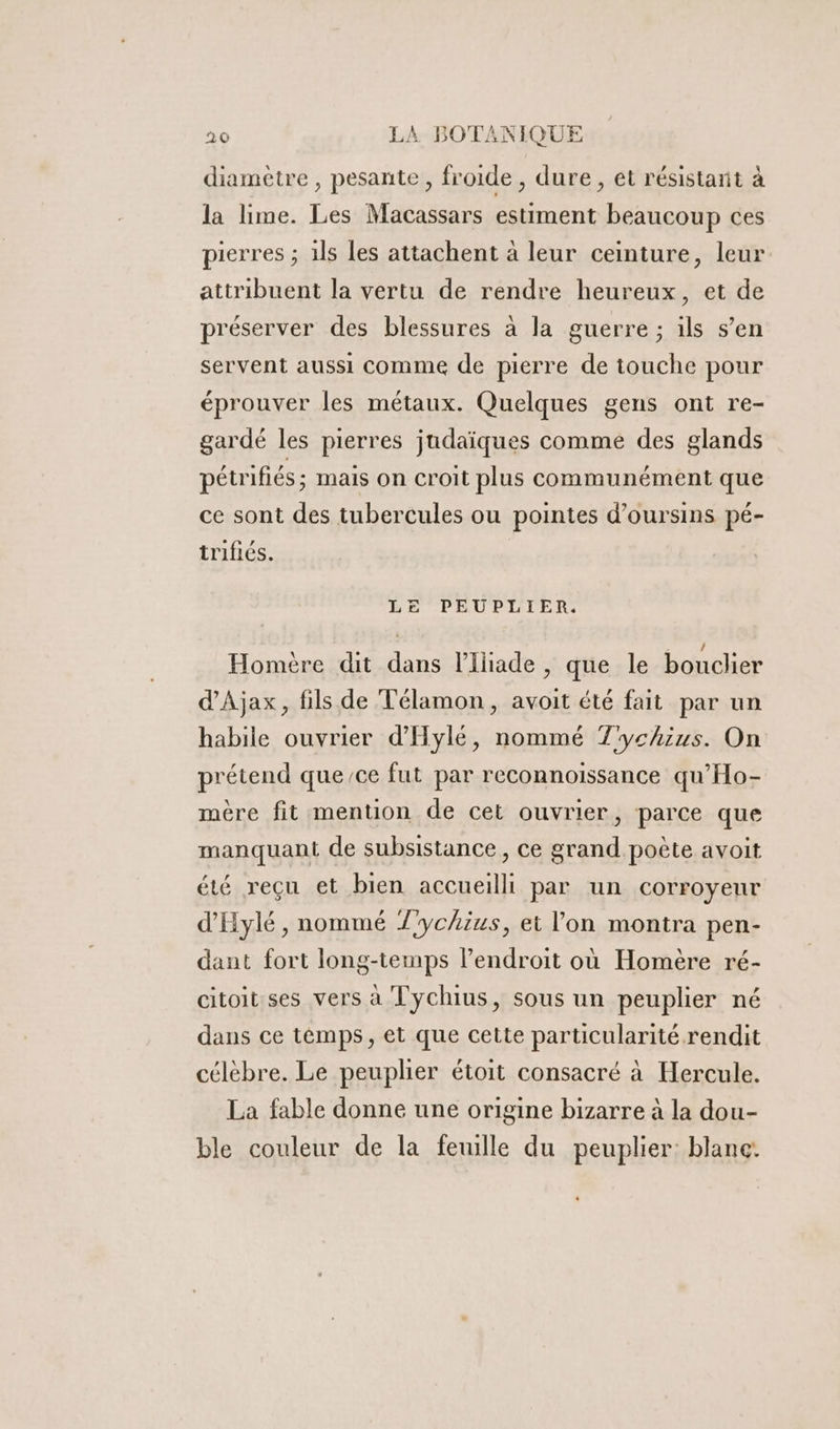 diamètre , pesante , froide, dure , et résistant à la lime. Les Macassars estiment beaucoup ces pierres ; 1ls les attachent à leur ceinture, leur attribuent la vertu de rendre heureux, et de préserver des blessures à la guerre ; ils s’en servent aussi comme de pierre de touche pour éprouver les métaux. Quelques gens ont re- gardé les pierres judaïques comme des glands pétrifiés ; mais on croit plus communément que ce sont des tubercules ou pointes d’oursins pé- trifiés. LE PEUPLIER. Homère dit dans lIliade , que le bouclier d'Ajax, fils de Télamon, avoit été fait par un habile ouvrier d'Hylé, nommé 7'ychius. On prétend que/ce fut par reconnoissance qu’Ho- mère fit mention de cet ouvrier, parce que manquant de subsistance, ce grand poëte avoit été reçu et bien accueilli par un corroyeur d'Hylé , nommé Z'ychius, et lon montra pen- dant fort long-temps l'endroit où Homère ré- citoit ses vers à Tychius, sous un peuplier né dans ce témps, et que cette particularité rendit célèbre. Le peuplier étoit consacré à Hercule. La fable donne une origine bizarre à la dou- ble couleur de la feuille du peuplier: blane: