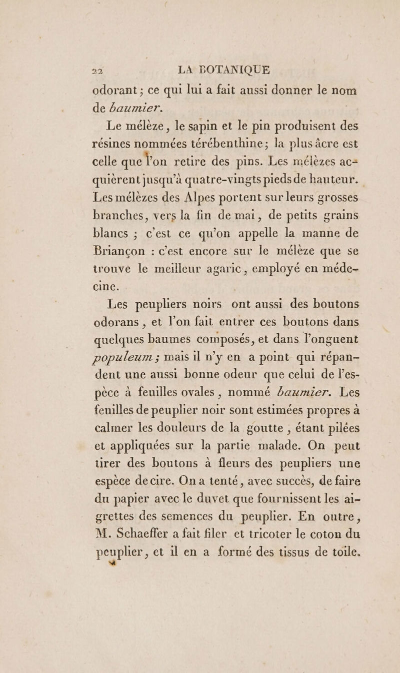 odorant ; ce qui lui a fait aussi donner le nom de baurnier. Le mélèze, le sapin et le pin produisent des résines nommées térébenthine; la plus àcre est celle que Yon retire des pins. Les mélèzes ac= quièrent jusqu’à quatre-vingts pieds de hauteur. Les mélezes des Alpes portent sur leurs grosses branches, vers la fin de mai, de petits grains blancs ; c'est ce qu’on appelle la manne de Briançon : c’est encore sur le mélèze que se trouve le meilleur agaric, employé en méde- cine. | Les peupliers noirs ont aussi des boutons odorans , et l’on fait entrer ces boutons dans quelques baumes composés, et dans l’onguent populeum ; mais il n’y en a point qui répan- dent une aussi bonne odeur que celui de les- pèce à feuilles ovales, nommé Daumier. Les feuilles de peuplier noir sont estimées propres à calmer les douleurs de la goutte , étant pilées et appliquées sur la partie malade. On peut urer des boutons à fleurs des peupliers une espèce de cire. On a tenté, avec succes, de faire du papier avec le duvet que fournissent les ai- grettes des semences du peuplier. En outre, M. Schaeffer à fait filer et tricoter le coton du peuplier, et 1l en a formé des tissus de toile.