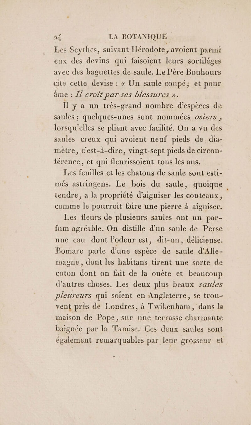 Les Scythes, suivant Hérodote, avoient parmi eux des devins qui faisoient leurs sortiléges avec des baguettes de saule. Le Père Bouhours cite cette devise : « Un saule coupé; et pour âme : 7 croft parses blessures ». Il y a un très-grand nombre d’espèces de saules ; quelques-unes sont nommées osiers , lorsqu'elles se plient avec facilité. On a vu des saules creux qui avoient neuf pieds de dia- mètre, C'est-à-dire, vingt-sept pieds de circon- férence, et qui fleurissoient tous les ans. Les feuilles et les chatons de saule sont esti- més astringens. Le bois du saule, quoique tendre, à la propriété daiguiser les couteaux, comme le pourroit faire une pierre à aiguiser. Les fleurs de plusieurs saules ont un par- fum agréable. On distille d’un saule de Perse une eau dont l'odeur est, dit-on, délicieuse. PBomare parle d’une espèce de saule d’Alie- magne, dont les habitans tirent une sorte de coton dont on fait de la ouëte et beaucoup d’autres choses. Les deux plus beaux sazles pleureurs qui soient en Angleterre, se trou- vent près de Londres, à Twikenham, dans la maison de Pope, sur une terrasse charmante baignée par la Tamise. Ces deux saules sont également remarquables par leur grosseur et