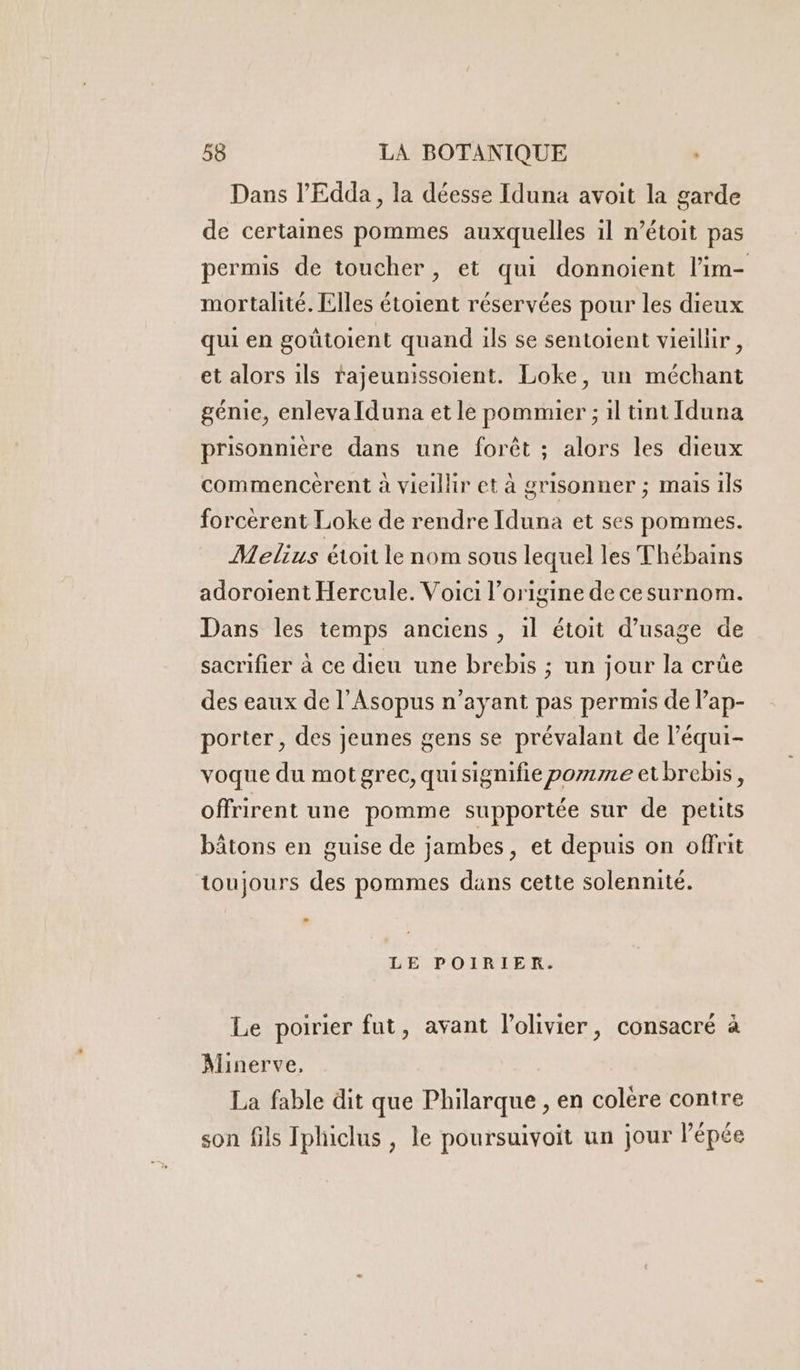 Dans l’Edda, la déesse Iduna avoit la garde de certaines pommes auxquelles 1l n’étoit pas permis de toucher, et qui donnoient l’im- mortalité. Elles étoient réservées pour les dieux qui en goütolent quand ils se sentoient vieillir , et alors ils rajeunissoient. Loke, un méchant génie, enlevaduna et le pommier ; il tint Iduna prisonnière dans une forêt ; alors les dieux commencèrent à vieillir et à grisonner ; mais ils forcèrent Loke de rendre Iduna et ses pommes. Melius étoit le nom sous lequel les Thébains adoroient Hercule. Voici l’origine de cesurnom. Dans les temps anciens , 1l étoit d'usage de sacrifier à ce dieu une brebis ; un jour la crüe des eaux de l’Asopus n'ayant pas permis de l’ap- porter, des jeunes gens se prévalant de l’équi- voque du motgrec, quisignifie pomme et brebis, offrirent une pomme supportée sur de petits bâtons en guise de jambes, et depuis on offrit toujours des pommes dans cette solennité. LE POIRIER. Le poirier fut, avant lolivier, consacré à Alinerve, La fable dit que Philarque , en colère contre son fils Iphiclus , le poursuivoit un jour l'épée