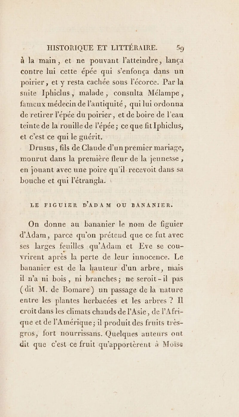 à la main, et ne pouvant l’atteindre, lança contre lui cette épée qui s’enfonça dans un poirier , et y resta cachée sous l'écorce. Par la suite Iphiclus, malade, consulta Mélampe, fameux médecin de antiquité, qui lui ordonna de retirer l'épée du poirier, et de boire de l’eau teinte de la rouille de l'épée ; ce que fit Iphiclus, et c’est ce qui le guérit. Drusus, fils de Claude d’un premier mariage, mourut dans la première fleur de la jeunesse , en jouant avec une poire qu'il recevoit dans sa bouche et qui l’étrangla. LE FIGUIER D'ADAM OU BANANIER. On donne au bananier le nom de figuier d'Adam, parce qu'on prétend que ce fut avec ses larges feuilles qu'Adam et Eve se cou- vrirent après la perte de leur innocence. Le bananier est de la hauteur d’un arbre, mais il n’a ni bois, ni branches; ne seroit-il pas (dit M. de Bomare) un passage de la nature entre les plantes herbacées et les arbres ? Il croit dans les climats chauds de l'Asie, de l'Afri- que et de l'Amérique ; il produit des fruits tres- gros, fort nourrissans. Quelques auteurs ont dit que c’est ce fruit qu’apportérent à Moïse