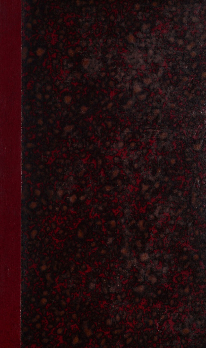 Ny M 4 » evs: . poe Me ae SM ae ss or ae nin ”