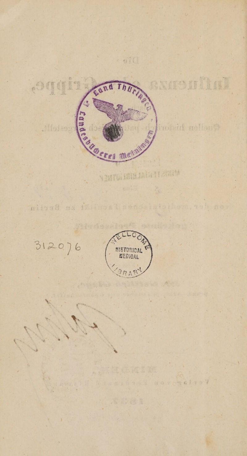 > NEDIOAL #— N arm