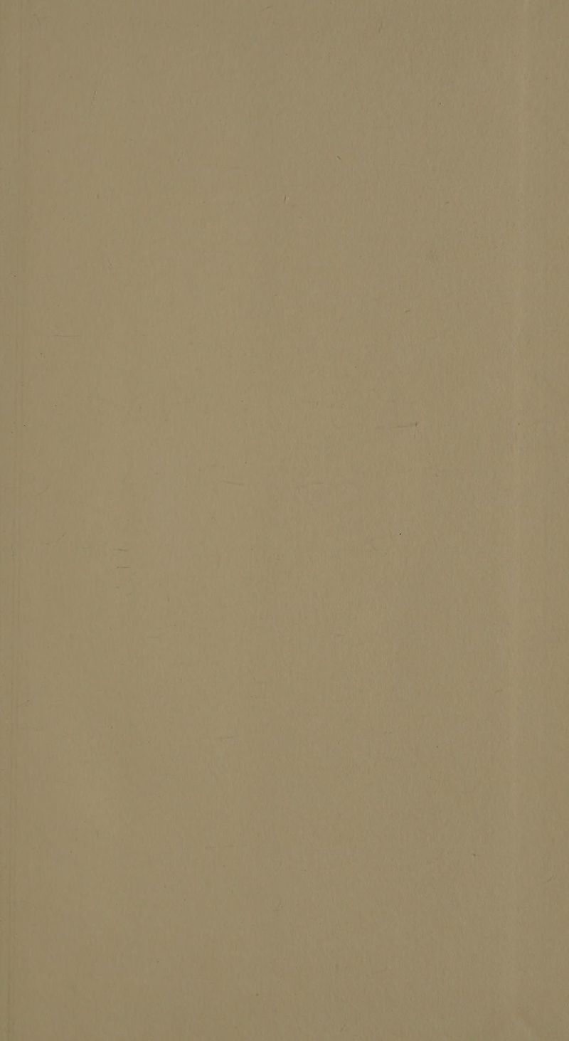 0 ' hat Dr KIRNE 4 ds NEN LEEREN DE ö Br)