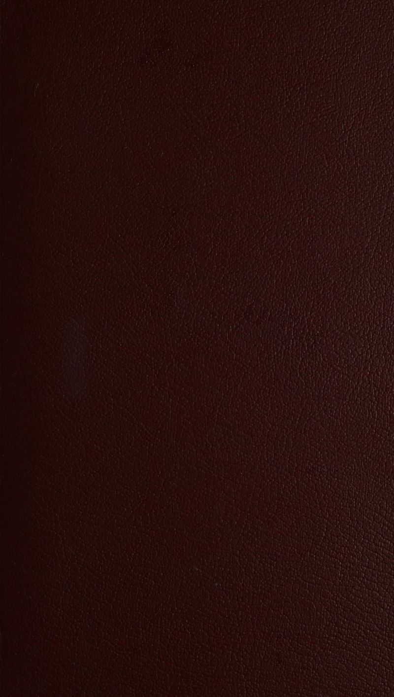 et ee Size ur IL Bach are \ “ ’ \ Dt ee pa 1? SE,