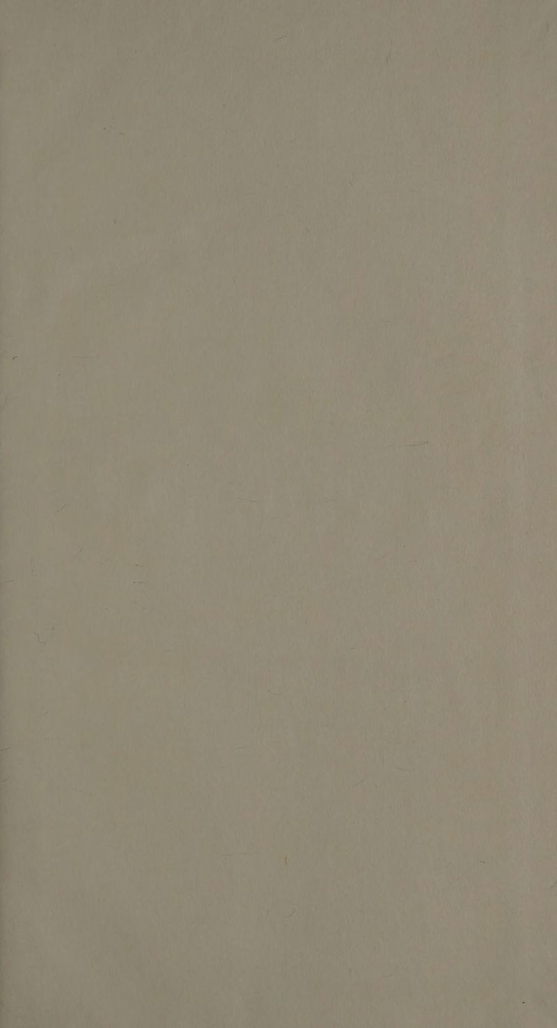 Zn K Ni, ku) 4 un HIN ' ’ AAN Kay BENHNHN Bo iR Wr AIR ER DR Au N ( Ku ie ; Y u“ j Em. Wi RAk Kur u a ta AB ra EB. ji u} N Yin! N I A y A BA mAS, 2 Fr In j NUR Mi i on FAN, a