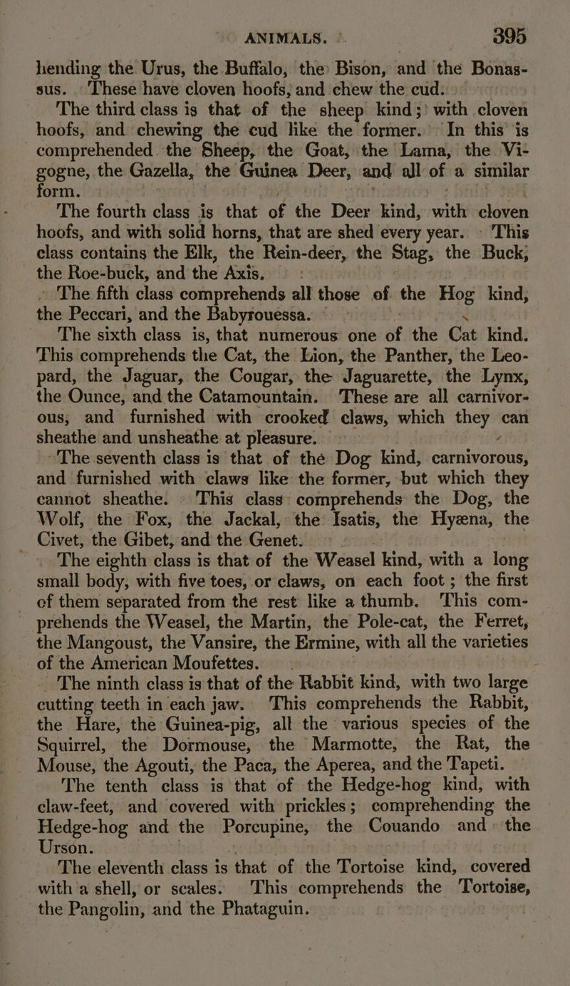 hending the’ Urus, the Buffalo, the» Bison, ated the Bonas- sus. These have cloven hoofs; and chew the cud: The third class is that of the sheep kind;> with cloves hoofs, and chewing the cud like the fieieteal ‘In this ‘is comprehended ‘the Sheep, the Goat, the Lama, the Vi- gogne, the: Gazella, the Guinea Deer, and all: of a similar form, | The fourth class is that of the Dest kind, with cloven hoofs, and with solid horns, that are shed every year. - ‘This class contains the Elk, the ’Rein-deer, the Stag, the Buck, the Roe-buck, and the Axis, 9 ' The fifth class comprehends all those of the Hog kind, the Peccari, and the Babyrouessa. ~ The sixth class is, that numerous one of the Cat kind. This comprehends the Cat, the Lion, the Panther, the Leo- pard, the Jaguar, the Cougar, the J aguarette, the Lynx, the Ounce, and the Catamountain. These are all carnivor- ous, and furnished with crooked claws, which eae can sheathe and unsheathe at pleasure. The seventh class is that of the Dog kind, carnivorous, and furnished with claws like the former, but which they cannot sheathe. - This class: comprehends the Dog, the Wolf, the Fox, the Jackal, the Isatis, the Hyzena, the Civet, the Gibet, and the Genet. The eighth class is that of the Weasel bin with a long small body, with five toes, or claws, on each foot ; the first of them separated from the rest like a thumb. This com- prehends the Weasel, the Martin, the Pole-cat, the Ferret, the Mangoust, the Varig) the Ermine, with all the varieties of the American Moufettes. ; The ninth class is that of the Rabbit kind, with two large cutting teeth in each jaw. This comprehends the Rabbit, the Hare, the Guinea-pig, all the various species of the Squirrel, the Dormouse, the Marmotte, the Rat, the Mouse, the Agouti, the Paca, the Aperea, and the Tapeti. The tenth class is that of the Hedge-hog kind, with claw-feet; and covered with prickles; comprehending the Hedge-hog and the sie a the Couando and ° the Urson. The eleventh class is that of the sud ieer kind, Erecead with a shell, or scales. This comprehends the Tortoise, the Pangolin, and the Phataguin.