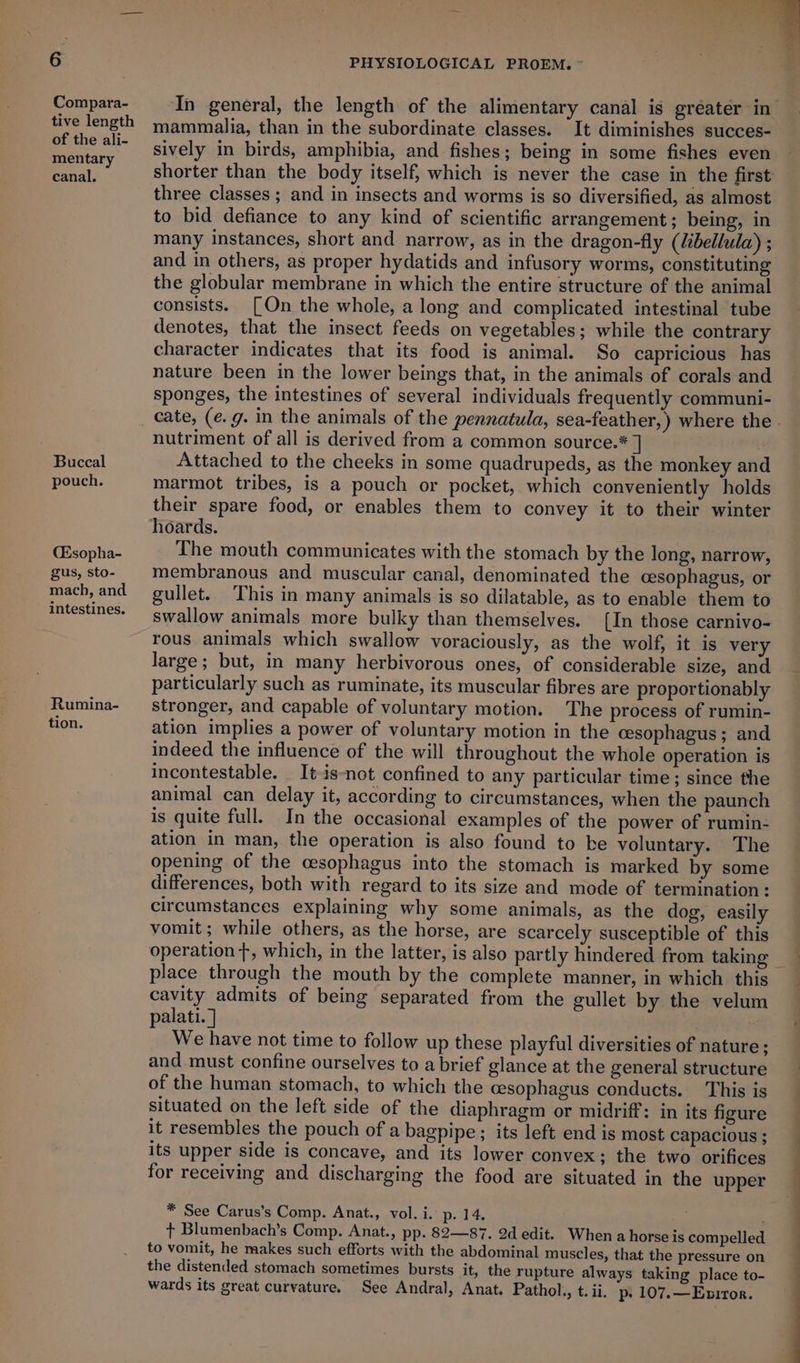 : Compara- tive length of the ali- mentary canal, Buccal pouch. (Esopha- gus, sto- mach, and intestines. Rumina- tion. PHYSIOLOGICAL PROEM. ~ mammalia, than in the subordinate classes. It diminishes succes- sively in birds, amphibia, and fishes; being in some fishes even three classes ; and in insects and worms is so diversified, as almost to bid defiance to any kind of scientific arrangement; being, in many instances, short and narrow, as in the dragon-fly (Jibellula) ; and in others, as proper hydatids and infusory worms, constituting the globular membrane in which the entire structure of the animal consists. [On the whole, a long and complicated intestinal tube denotes, that the insect feeds on vegetables; while the contrary character indicates that its food is animal. So capricious has nature been in the lower beings that, in the animals of corals and sponges, the intestines of several individuals frequently communi- nutriment of all is derived from a common source.* ] Attached to the cheeks in some quadrupeds, as the monkey and marmot tribes, is a pouch or pocket, which conveniently holds their spare food, or enables them to convey it to their winter hoards. The mouth communicates with the stomach by the long, narrow, membranous and muscular canal, denominated the cesophagus, or gullet. This in many animals is so dilatable, as to enable them to swallow animals more bulky than themselves. [In those carnivo- rous animals which swallow voraciously, as the wolf, it is very large; but, in many herbivorous ones, of considerable size, and particularly such as ruminate, its muscular fibres are proportionably stronger, and capable of voluntary motion. The process of rumin- ation implies a power of voluntary motion in the cesophagus ; and indeed the influence of the will throughout the whole operation is incontestable. _It-is-not confined to any particular time; since the animal can delay it, according to circumstances, when the paunch is quite full. In the occasional examples of the power of rumin- ation in man, the operation is also found to ke voluntary. The opening of the cesophagus into the stomach is marked by some differences, both with regard to its size and mode of termination: circumstances explaining why some animals, as the dog, easily vomit; while others, as the horse, are scarcely susceptible of this place through the mouth by the complete manner, in which this cavity admits of being separated from the gullet by the velum palati. ] We have not time to follow up these playful diversities of nature; and must confine ourselves to a brief glance at the general structure of the human stomach, to which the cesophagus conducts. This is situated on the left side of the diaphragm or midriff: in its figure it resembles the pouch of a bagpipe; its left end is most capacious ; its upper side is concave, and its lower convex; the two orifices for receiving and discharging the food are situated in the upper * See Carus’s Comp. Anat., vol. i. p. 14. ; + Blumenbach’s Comp. Anat., pp. 82—87. 2d edit. When a horse is compelled to vomit, he makes such efforts with the abdominal muscles, that the pressure on the distended stomach sometimes bursts it, the rupture always taking place to- wards its great curvature. See Andral, Anat. Pathol., t. ii, p- 107.—Eniror. ’ } : . ’