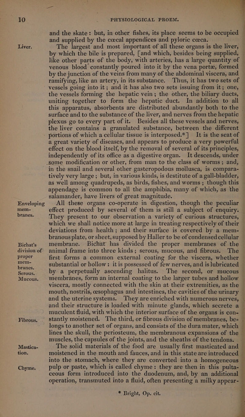 Liver. and the skate: but, in other fishes, its place seems to be occupied and supplied by the ccecal appendices and pyloric cceca. The largest and most important of all these organs is the liver, by which the bile is prepared, [and which, besides being supplied, like other parts of the body, with arteries, has a large quantity of venous blood constantly poured into it by the vena porta, formed by the junction of the veins from many of the abdominal viscera, and ramifying, like an artery, in its substance. Thus, it has two sets of vessels going into it; and it has also two sets issuing from it; one, the vessels forming the hepatic vein; the other, the biliary ducts, uniting together to form the hepatic duct. In addition to all surface and to the substance of the liver, and nerves from the hepatic plexus go to every part of it. Besides all these vessels and nerves, the liver contains a granulated substance, between the different Enveloping mem- branes. Bichat’s division of proper mem- branes. Serous. Mucous, Fibrous. Mastica- tion. Chyme. a great variety of diseases, and appears to produce a very powerful effect on the blood itself, by the removal of several of its principles, independently of its office as a digestive organ. It descends, under in the snail and several other gasteropodous mollusca, is compara- tively very large ; but, in various kinds, is destitute of a gall-bladder, as well among quadrupeds, as birds, fishes, and worms ; though this appendage is common to all the amphibia, many of which, as the salamander, have livers of great magnitude. All these organs co-operate in digestion, though the peculiar They present to our observation a variety of curious structures, which we shall notice more at large in treating respectively of their deviations from health; and their surface is covered by a mem- branous plate, or sheet, supposed by Haller to be of condensed cellular membrane. Bichat has divided the proper membranes of the animal frame into three kinds; serous, mucous, and fibrous. The first forms a common external coating for the viscera, whether substantial or bollow: it is possessed of few nerves, and is lubricated by a perpetually ascending halitus. The second, or mucous membranes, form an internal coating to the larger tubes and hollow viscera, mostly connected with the skin at their extremities, as the mouth, nostrils, esophagus and intestines, the cavities of the urinary and the uterine systems. They are enriched with numerous nerves, and their structure is loaded with minute glands, which secrete a muculent fluid, with which the interior surface of the organs is con- stantly moistened. The third, or fibrous division of membranes, be- muscles, the capsules of the joints, and the sheaths of the tendons. The solid materials of the food are usually first masticated and moistened in the mouth and fauces, and in this state are introduced — pulp or paste, which is called chyme: they are then in this pulta- ceous form introduced into the duodenum, and, by an additional operation, transmuted into a fluid, often presenting a milky appear- * Bright, Op. cit. — +
