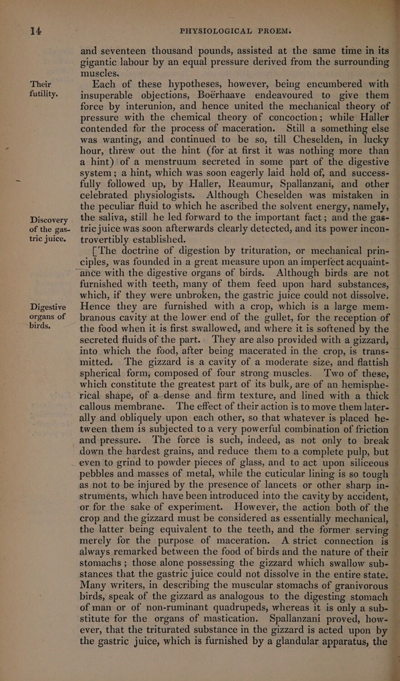 and seventeen thousand pounds, assisted at the same time in its gigantic labour by an equal pressure derived from the surrounding muscles. . Their Each of these hypotheses, however, being encumbered with futility. insuperable objections, Boérhaave endeavoured to give them force by interunion, and hence united the mechanical theory of pressure with the chemical theory of concoction; while Haller contended for the process of maceration. Still a something else was wanting, and continued to be so, till Cheselden, in lucky hour, threw out the hint (for at first it was nothing more than a hint) of a menstruum secreted in some part of the digestive system; a hint, which was soon eagerly laid hold of, and success- fully followed up, by Haller, Reaumur, Spallanzani, and other celebrated physiologists. Although Cheselden was mistaken in the peculiar fluid to which he ascribed the solvent energy, namely, Discovery. the saliva, still he led forward to the important fact; and the gas- of the gas- tric juice was soon afterwards clearly detected, and its power incon- tric juice. trovertibly established. [The doctrine of digestion by trituration, or mechanical prin- ciples, was founded in a great measure upon an imperfect acquaint- “ance with the digestive organs of birds. Although birds are not furnished with teeth, many of them feed upon hard substances, which, if they were unbroken, the gastric juice could not dissolve. Digestive Hence they are furnished with a crop, which is a large mem- organs of | branous cavity at the lower end of the gullet, for the reception of birds. the food when it is first swallowed, and where it is softened by the secreted fluids of the part.. They are also provided with a gizzard, into which the food, after being macerated in the crop, is trans- mitted. The gizzard is a cavity of a moderate size, and flattish spherical form; composed of four strong muscles. Two of these, which constitute the greatest part of its bulk, are of an hemisphe- rical shape, of a-dense and firm texture, and lined with a thick callous membrane. ‘The effect of their action is to move them later- ally and obliquely upon each other, so that whatever is placed he- tween them is subjected to a very powerful combination of friction and pressure. The force is such, indeed, as not only to break _ down the hardest grains, and reduce them to.a complete pulp, but even to grind to powder pieces of glass, and te act upon siliceous pebbles and masses of metal, while the cuticular lining is so tough as not to be injured by the presence of lancets or other sharp in- struments, which have been introduced into the cavity by accident, or for the sake of experiment. However, the action both of the crop and the gizzard must be considered as essentially mechanical, the latter being equivalent to the teeth, and the former serving | merely for the purpose of maceration. A strict connection is always remarked between the food of birds and the nature of their stomachs ; those alone possessing the gizzard which swallow sub- stances that the gastric juice could not dissolve in the entire state. Many writers, in describing the muscular stomachs of granivorous birds, speak of the gizzard as analogous to the digesting stomach of man or of non-ruminant quadrupeds, whereas it is only a sub- stitute for the organs of mastication. Spallanzani proved, how- _ ever, that the triturated substance in the gizzard is acted upon by the gastric juice, which is furnished by a glandular apparatus, the