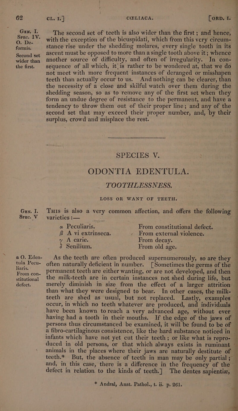 Gen, I. Spec. LV. O. De- formis. Second set wider than the first. Gen. I. Srec. V a O. Eden- tula Pecu- liaris. From con- stitutional defect. The second set of teeth is also wider than the first ; and hence, with the exception of the bicuspidati, which from this very circum- stance rise under the shedding molares, every single tooth in its ascent must be opposed to more than a single tooth above it; whence another source of difficulty, and often of irregularity. In con- sequence of all which, it, is rather to be wondered at, that we do not meet with more frequent instances of deranged or misshapen teeth than actually occur to us. And nothing can be clearer, than the necessity of a close and skilful watch over them during the shedding season, so as to remove any of the first set when they form an undue degree of resistance to the permanent, and have a. tendency to throw them out of their proper line; and any of the second set that may exceed their proper number, and, by their surplus, crowd and misplace the rest. SPECIES V. : ODONTIA EDENTULA. TOOTHLESSNESS. LOSS OR WANT OF TEETH. Tuis is also a very common affection, and offers the following varieties :— a Peculiaris. From constitutional defect. 8 A vi extrinseca. - From external violence. y A carie. From decay. S Senilium. From old age. As the teeth are often produced supernumerously, so are they often naturally deficient in number. [Sometimes the germs of the permanent teeth are either wanting, or are not developed, and then ~ the milk-teeth are in certain instances not shed during life, but merely diminish in size from the effect of a larger attrition than what they were designed to bear. In other cases, the milk- teeth are shed as usual, but not replaced. Lastly, examples occur, in which no teeth whatever are produced, and individuals have been known toreach a very advanced age, without ever having had a tooth in their mouths. If the edge of the jaws of persons thus circumstanced be examined, it will be found to be of a fibro-cartilaginous consistence, like the hard substance noticed in infants which have not yet cut their teeth; or like what is repro- animals in the places where their jaws are naturally destitute of teeth.* But, the absence of teeth in man may be only partial ;” and, in this case, there is a difference in the frequency of the defect in relation to the kinds of teeth.] The dentes sapientiz,
