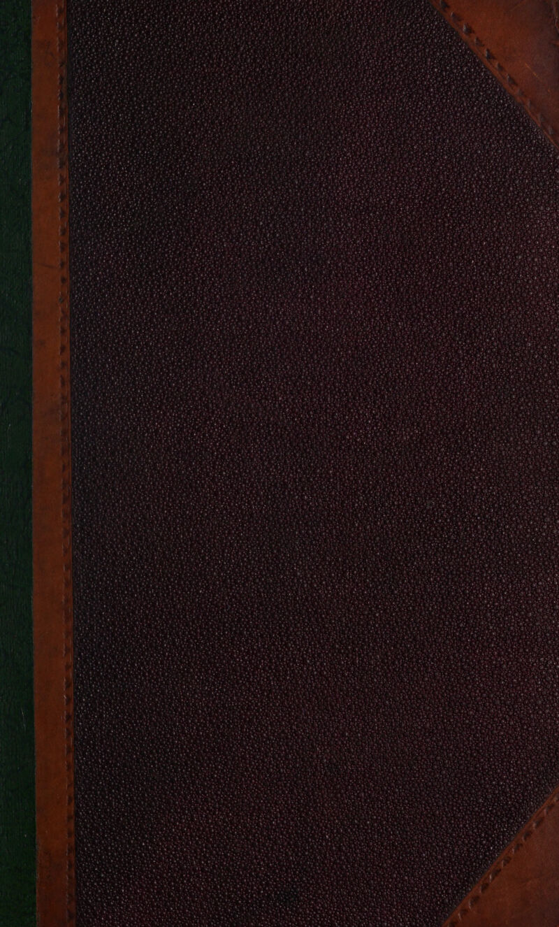 oes, Pe eae a ‘ay eri BAA Hac yin, ae iMiavad Trans om a Prieta vy, 5 estate ot hace pew ae Sor kG 2th ae oh ait hl Ses