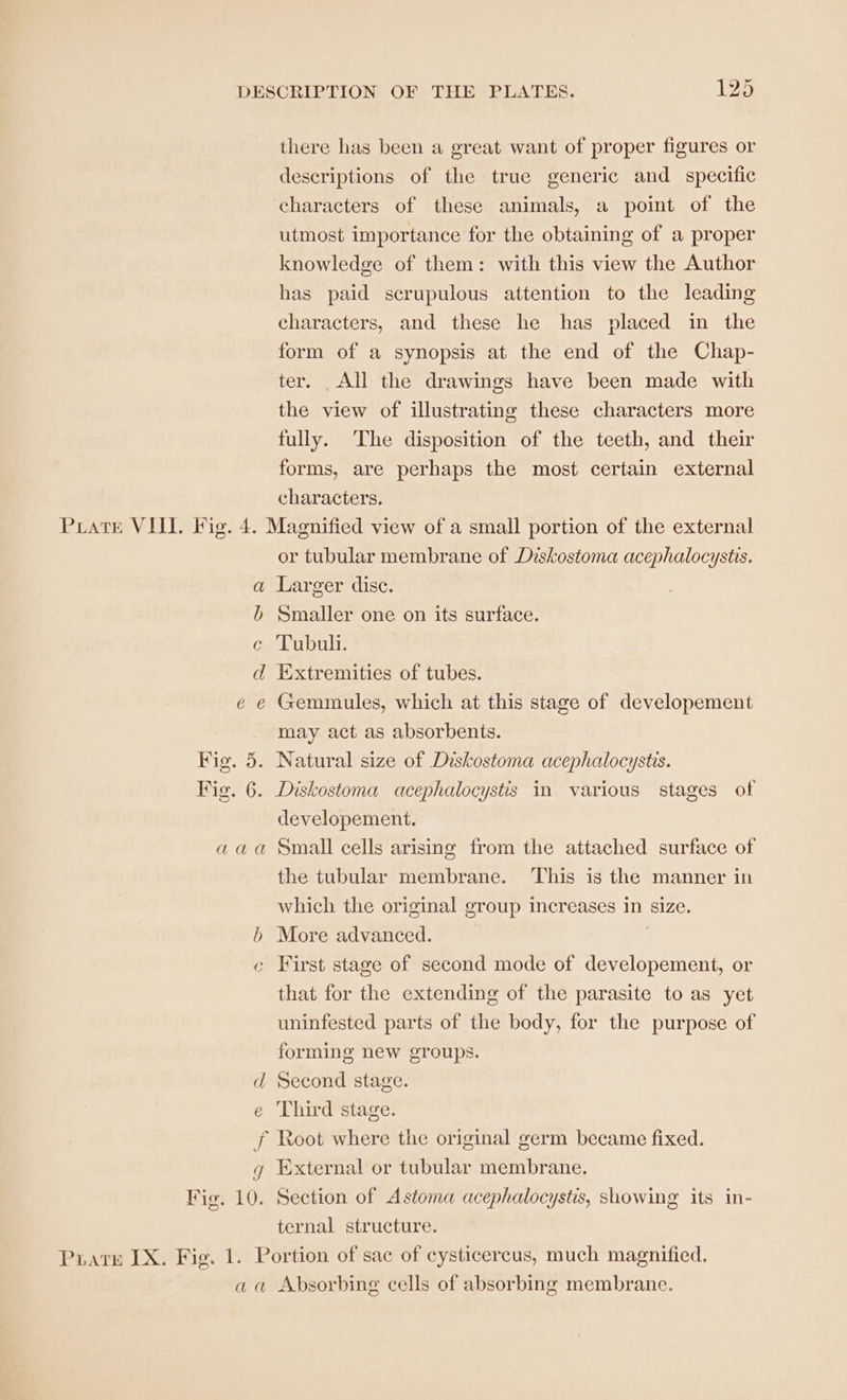 there has been a great want of proper figures or descriptions of the true generic and _ specific characters of these animals, a point of the utmost importance for the obtaining of a proper knowledge of them: with this view the Author has paid scrupulous attention to the leading characters, and these he has placed in the form of a synopsis at the end of the Chap- ter. All the drawings have been made with the view of illustrating these characters more fully. The disposition of the teeth, and their forms, are perhaps the most certain external characters. D> SM &amp; d ee Fig. 5. Fig. 6. aaa b C or tubular membrane of Deskostoma acephalocystis. Larger dise. Smaller one on its surface. Tubuli. Extremities of tubes. Gemmules, which at this stage of developement may act as absorbents. Natural size of Diskostoma acephalocystis. Diskostoma acephalocystis in various stages of developement. Small cells arising from the attached surface of the tubular membrane. This is the manner in which the original group increases in size. More advanced. First stage of second mode of developement, or that for the extending of the parasite to as yet uninfested parts of the body, for the purpose of forming new groups. € J Fig. 10. Third stage. Root where the original germ became fixed. External or tubular membrane. Section of Astoma acephalocystis, showing its in- ternal structure. a a Absorbing cells of absorbing membrane.