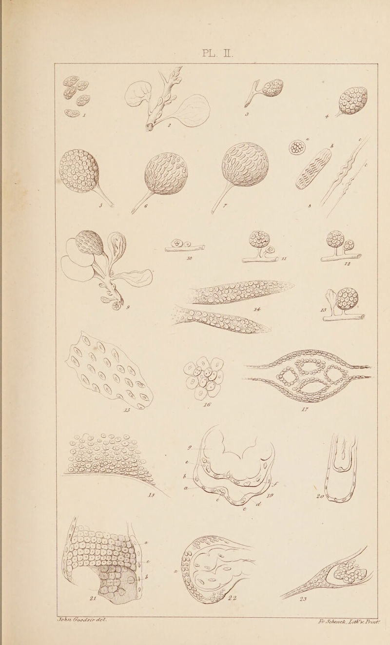 SK Lee) han TR Dw RO\ &amp; ” Johre Goodstr dez. Lr Schereche, Lith!ss Frint?