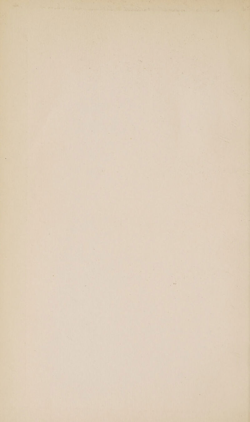 . hal ¢ bd a 15 : @ y 4 Wa, ake vi ay i \ : 4 Perey f . oe oe Ct ae N.Gae i , im