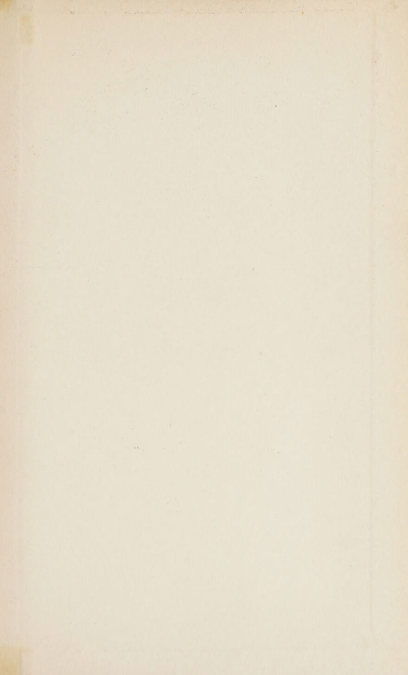 \ SD etm NE ie — ag Pe. Syl Pay t fr 2 a 3 wcll Eee AS Cay °4 Sh ara \ a rah