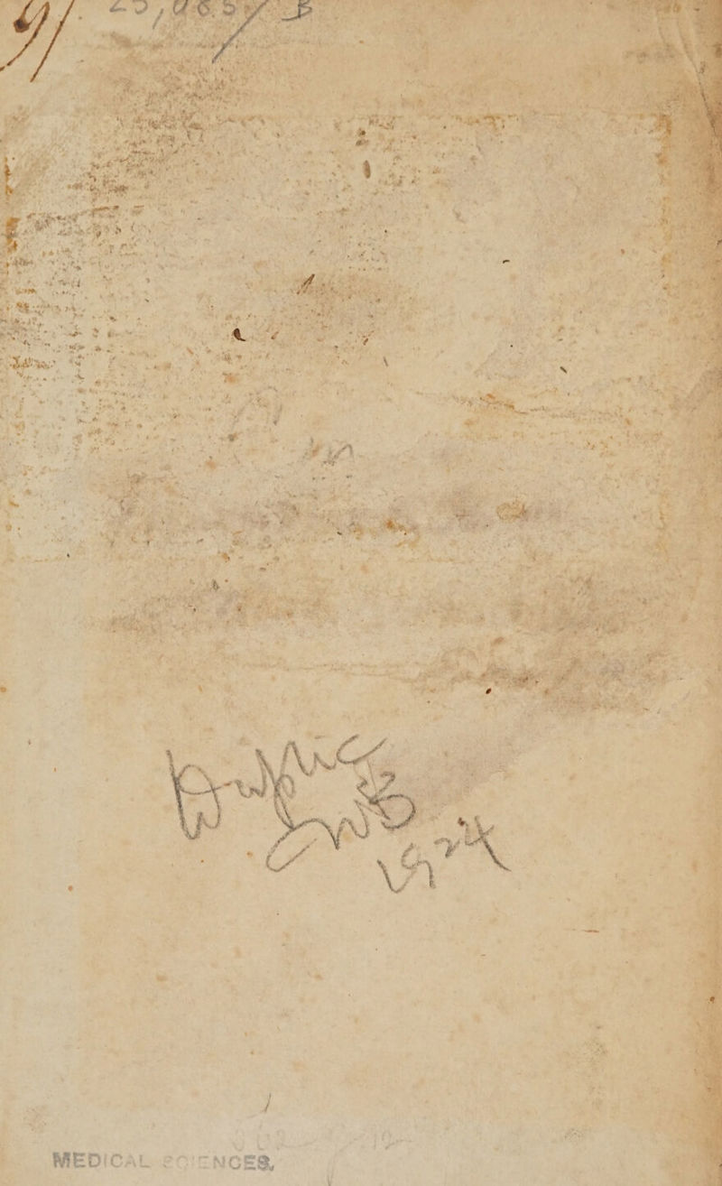 . vn Clas em toa a Ge EE ite ne ge ipunAbli GS Sd ween Ie a oe ~ ¢ re. nth i és em : = : : ; , 4 . . Me om: “2 rh. ‘ ~ f . 4 > < ; ; ’ ‘ ’ ; U “ , 1 . n % ‘ E ” i . ‘ : ' , ‘ “ a es ¥ . 7 : . Lat > * fy: % % , . MEDICAL ccicnces, f é ~=S a | 3