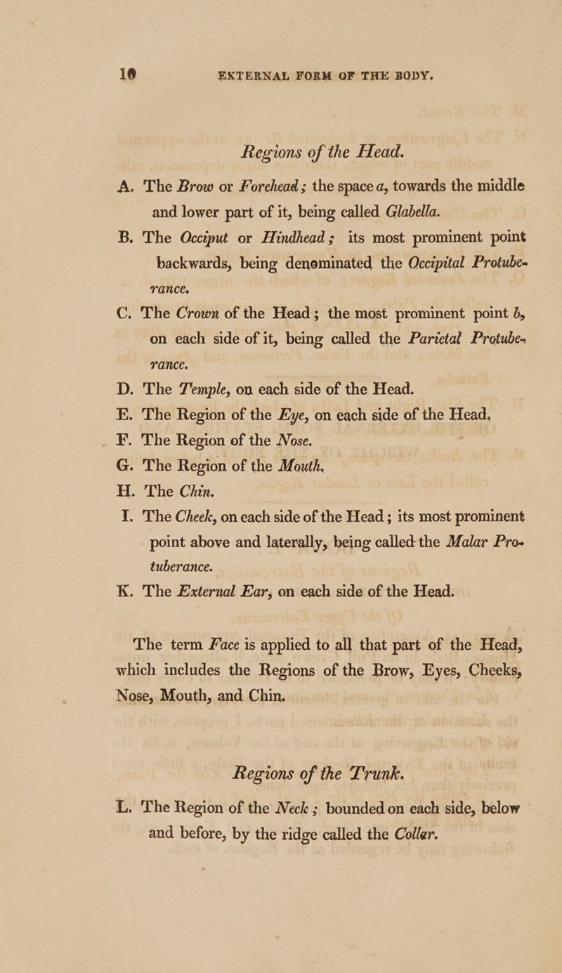 ers ears Regions of the Head. and lower part of it, being called Glabella. backwards, being denominated the Occipital Protube- on each side of it, being called the Parietat Protube- Trance. The Chin. point above and laterally, being called the Malar Pro- tuberance. The External Ear, on each side of the Head. Regions of the Trunk. The Region of the Neck ; bounded on each side, below and before, by the ridge called the Collar.