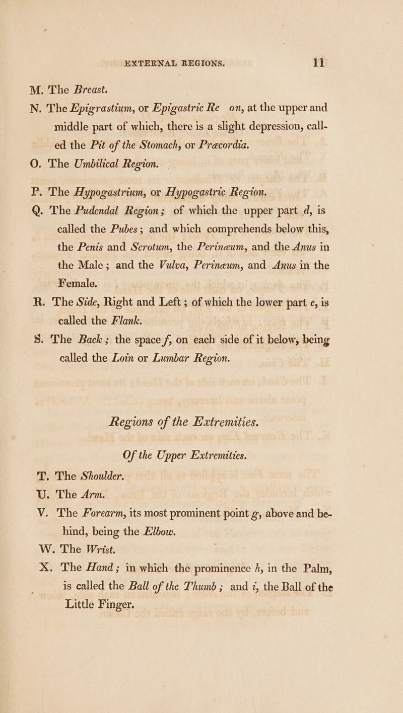 M. The Breast. N. The Epigrastium, or Epigastric Re on, at the upper and middle part of which, there is a slight depression, call- ed the Pit of the Stomach, or Precordia. O. The Umbilical Region. _ P. The Hypogastrium, or Hypogastric Region. Q. The Pudendal Region; of which the upper part d, is called the Pubes; and which comprehends below this, the Penis and Scrotum, the Perinzum, and the Anus in the Male; and the Vulva, Perineum, and Anus in the Female. R. The Side, Right and Left ; of which the lower part e, is called the Flank. S. The Back; the space f, on each side of it below, being called the Loin or Lumbar Region. Regions of the Extremities. Of the Upper Extremities. T. The Shoulder. U. The Arm. V. The Forearm, its most prominent point ¢, above and be- hind, being the Elbow. W. The Wrist. X. The Hand ; in which the prominence 4, in the Palm, is called the Ball of the Thumb; and 2, the Ball of the Little Finger.