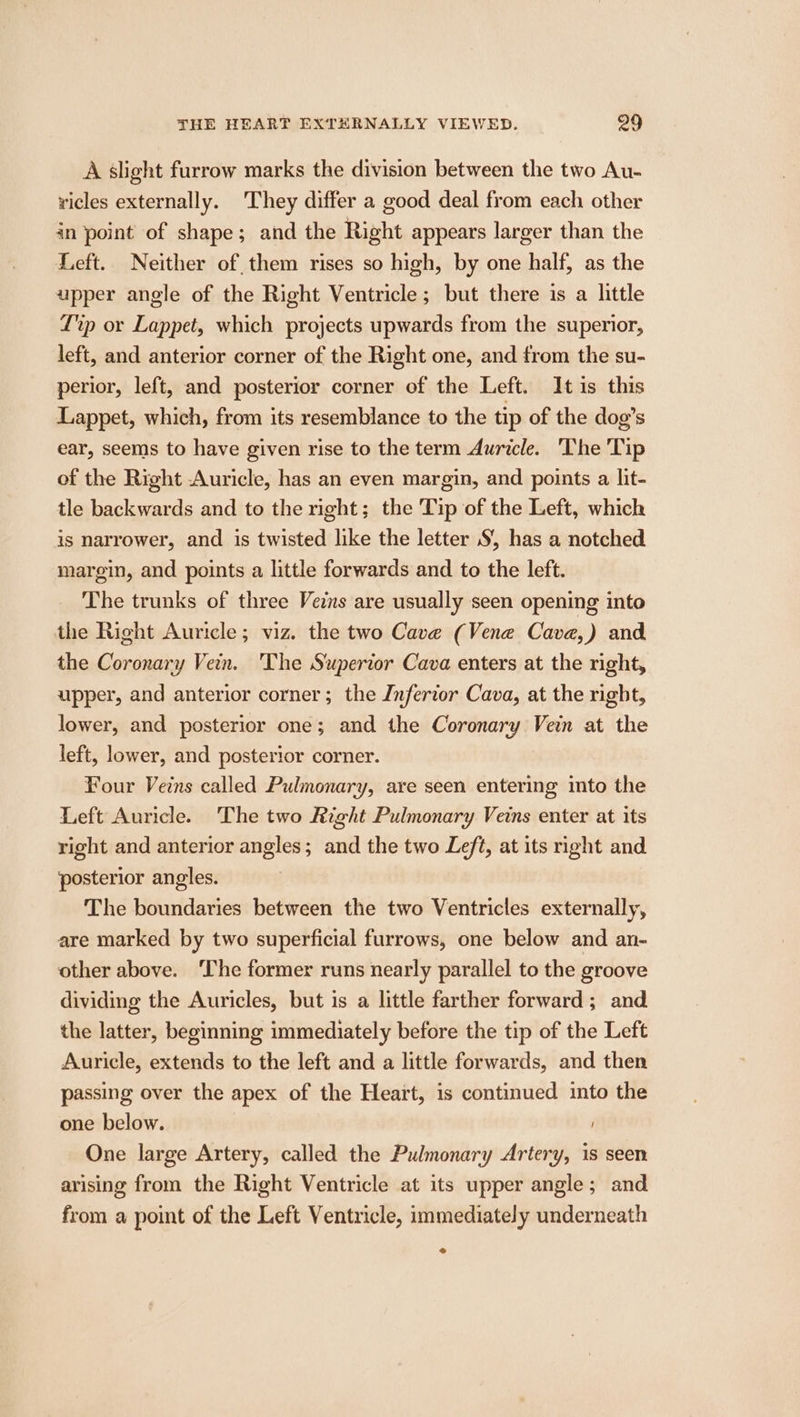 THE HEART EXTERNALLY VIEWED. ag A slight furrow marks the division between the two Au- ricles externally. They differ a good deal from each other in point of shape; and the Right appears larger than the Left. Neither of them rises so high, by one half, as the upper angle of the Right Ventricle; but there 1s a little Lp or Lappet, which projects upwards from the superior, left, and anterior corner of the Right one, and from the su- perior, left, and posterior corner of the Left. It is this Lappet, which, from its resemblance to the tip of the dog’s ear, seems to have given rise to the term Auricle. ‘The 'Tip of the Right Auricle, has an even margin, and points a lit- tle backwards and to the right; the Tip of the Left, which is narrower, and is twisted like the letter S', has a notched margin, and points a little forwards and to the left. The trunks of three Veins are usually seen opening into the Right Auricle; viz. the two Cave (Vene Cave,) and the Coronary Vein. The Superior Cava enters at the right, upper, and anterior corner; the Inferior Cava, at the right, lower, and posterior one; and the Coronary Vein at the left, lower, and posterior corner. Four Veins called Pulmonary, are seen entering into the Left Auricle. The two Right Pulmonary Veins enter at its right and anterior angles; and the two Left, at its right and posterior angles. The boundaries between the two Ventricles externally, are marked by two superficial furrows, one below and an- other above. ‘The former runs nearly parallel to the groove dividing the Auricles, but is a little farther forward; and the latter, beginning immediately before the tip of the Left Auricle, extends to the left and a little forwards, and then passing over the apex of the Heart, is continued into the one below. One large Artery, called the Pulmonary Artery, is seen arising from the Right Ventricle at its upper angle; and from a point of the Left Ventricle, immediately underneath 2