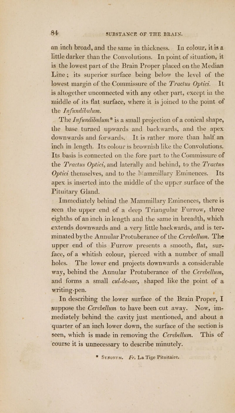 an inch broad, and the same in thickness. In colour, itis a little darker than the Convolutions. In point of situation, it is the lowest part of the Brain Proper placed on the Median Line; its superior surface being below the level of the lowest margin of the Commissure of the T'ractus Optict. Tt is altogether unconnected with any other part, except in the middle of its flat surface, where it is joimed to the point of the Infundibulum. The Infundibulum* is a small projection of a conical shape, the base turned upwards and backwards, and the apex downwards and forwards. It is rather more than half an inch in length. Its colour is brownish like the Convolutions. Its basis is connected on the fore part to the Commissure of the T'ractus Optict, and laterally and behind, to the T'ractus Optict themselves, and to the Miammillary Eminences. Its apex is inserted into the middle of the upper surface of the Pituitary Gland. Immediately behind the eens Eminences, there is seen the upper end of a deep Triangular Furrow, three eighths of an inch in length and the same in breadth, which extends downwards and a very little backwards, and is ter- minated bythe Annular Protuberance of the Cerebellum. The upper end of this Furrow presents a smooth, flat, sur- face, of a whitish colour, pierced with a number of small holes. The lower end projects downwards a considerable way, behind the Annular Protuberance of the Cerebellum, and forms a small cul-de-sac, shaped like the point of a writing- -pen. In chin the lower surface of the Brain pee I suppose the Cerebellum to have been cut away. Now, im- mediately behind the cavity just mentioned, and about a quarter of an inch lower down, the surface of the section is seen, which is made in removing the Cerebellum. 'This of course it is unnecessary to describe minutely. * Synonym. Fr, La Tige Pituitaire.