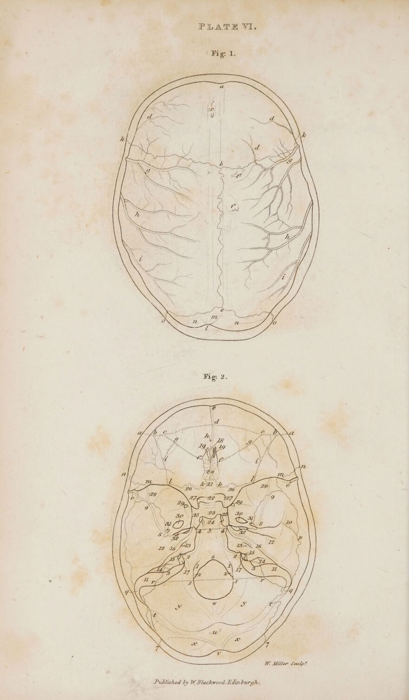 ie 1S ei re Sr Or le ASA, Psi OM Wl 6 - i ae Sy * W. Miller Soulp? Published by W. Blackwood E dinburgh.